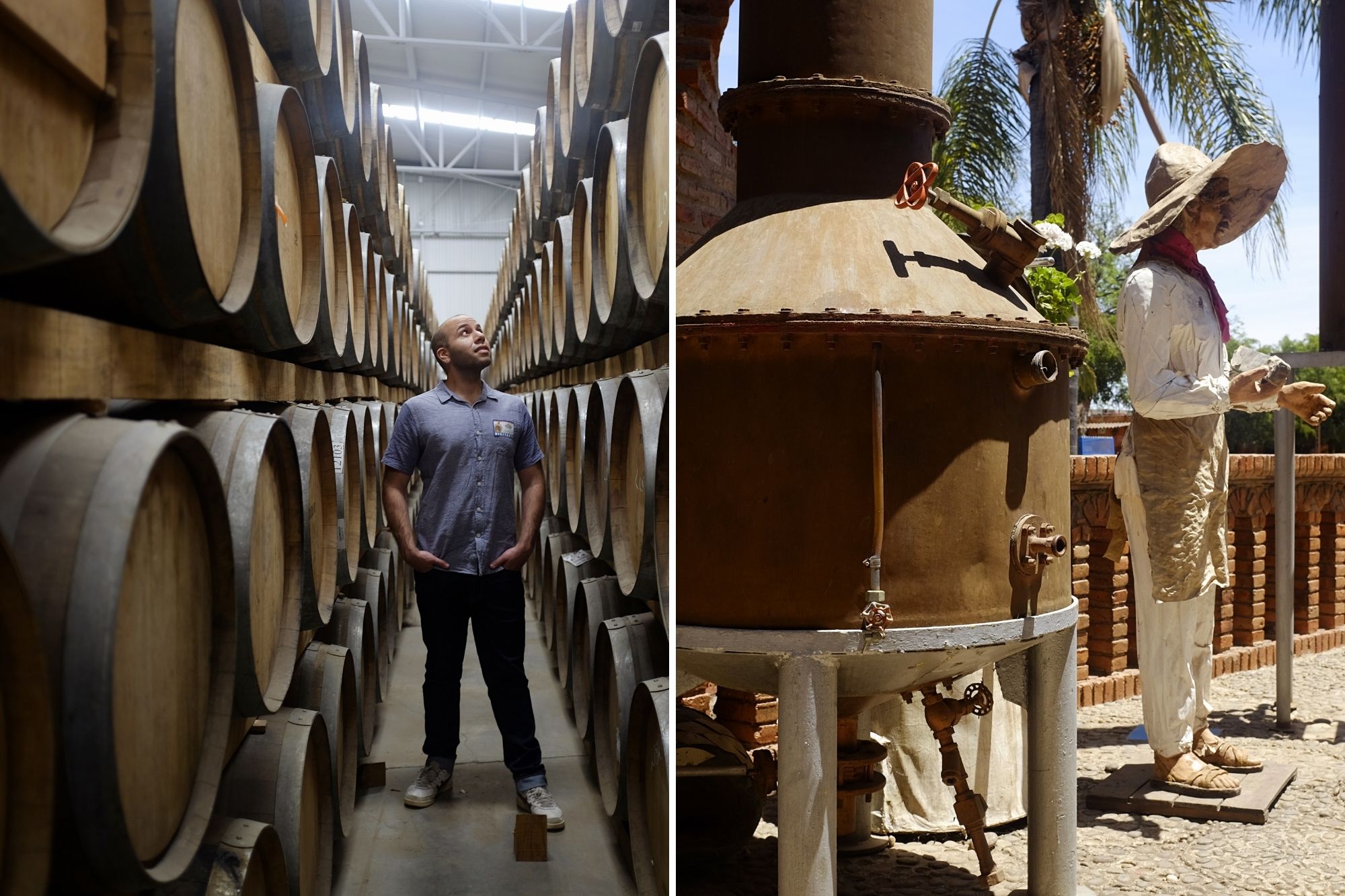 Barrels aging tequila