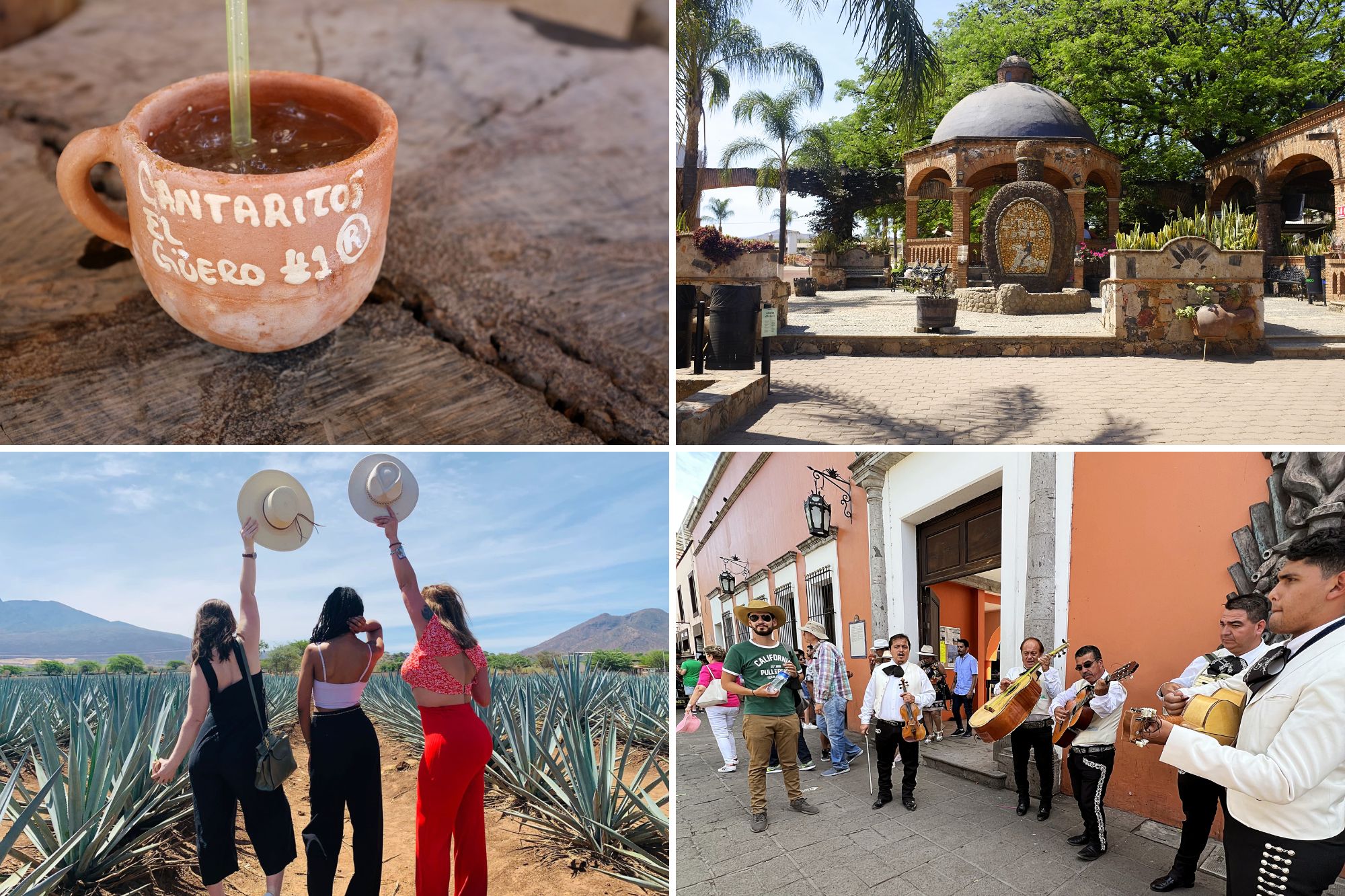 Collage of images from the Tequila tour