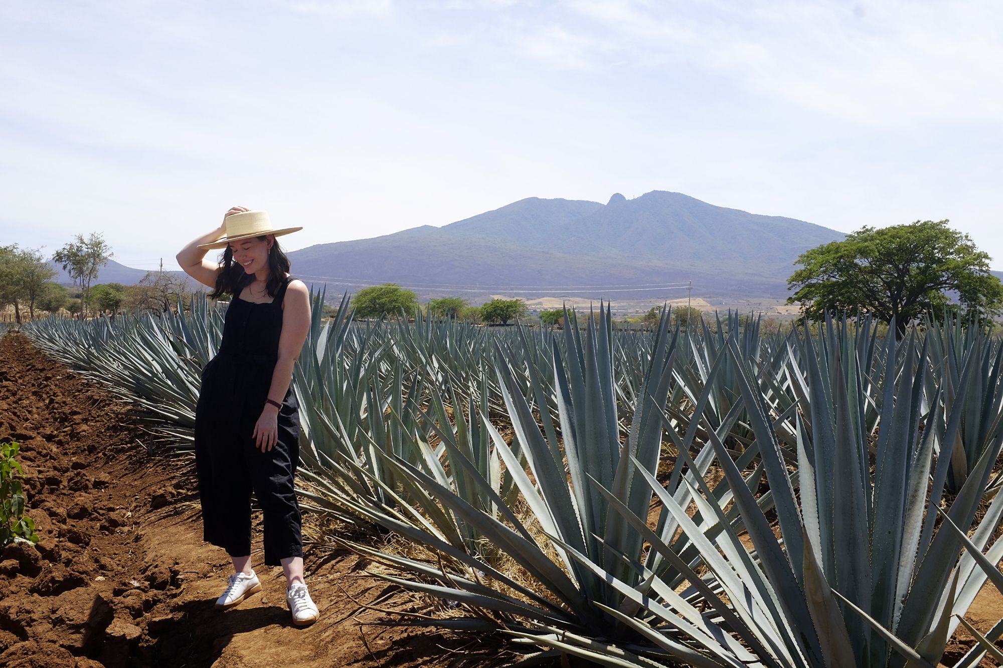 Alyssa stands in a field of agave