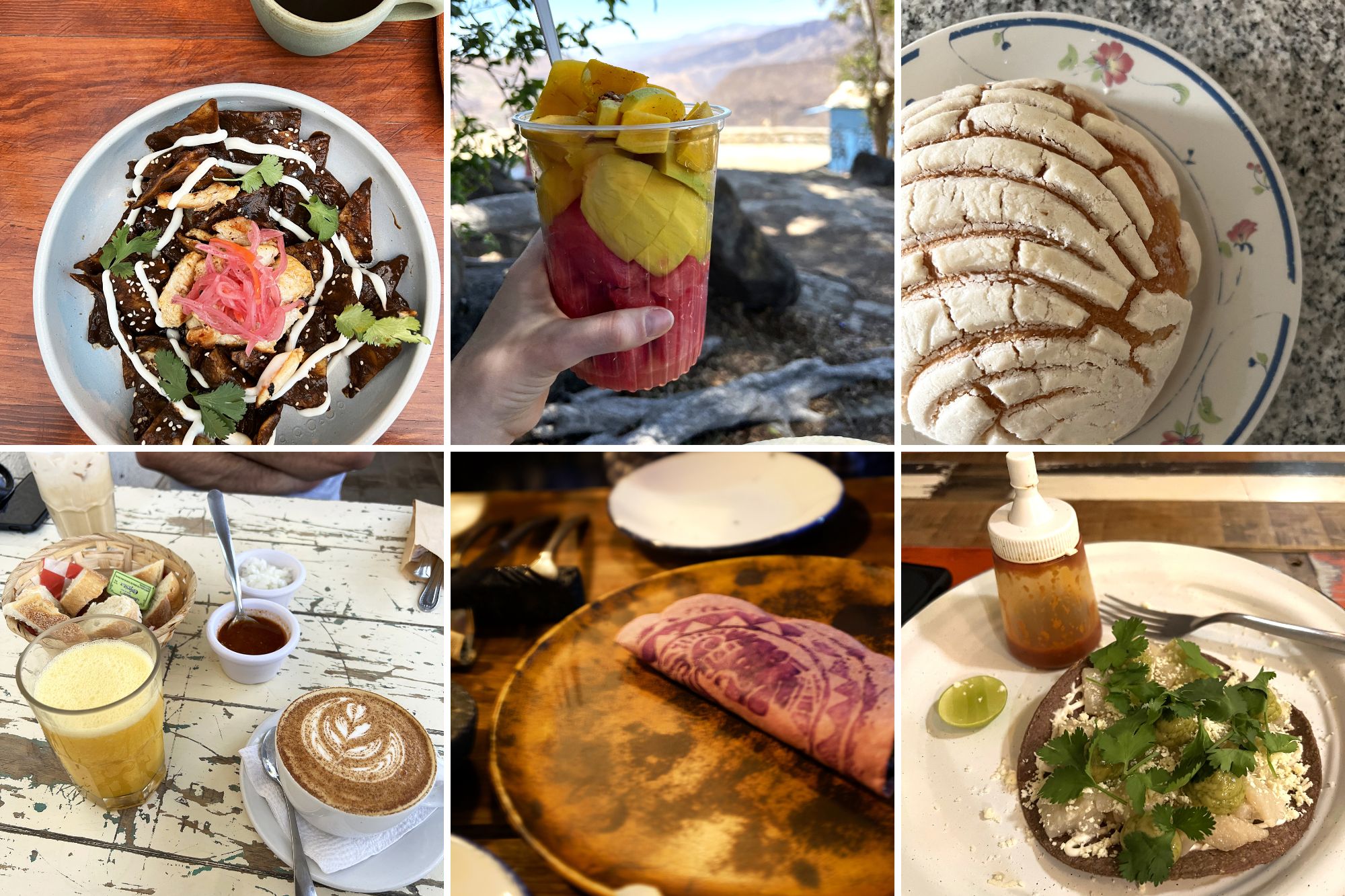 Assorted photos of Guadalajara Food and Drink