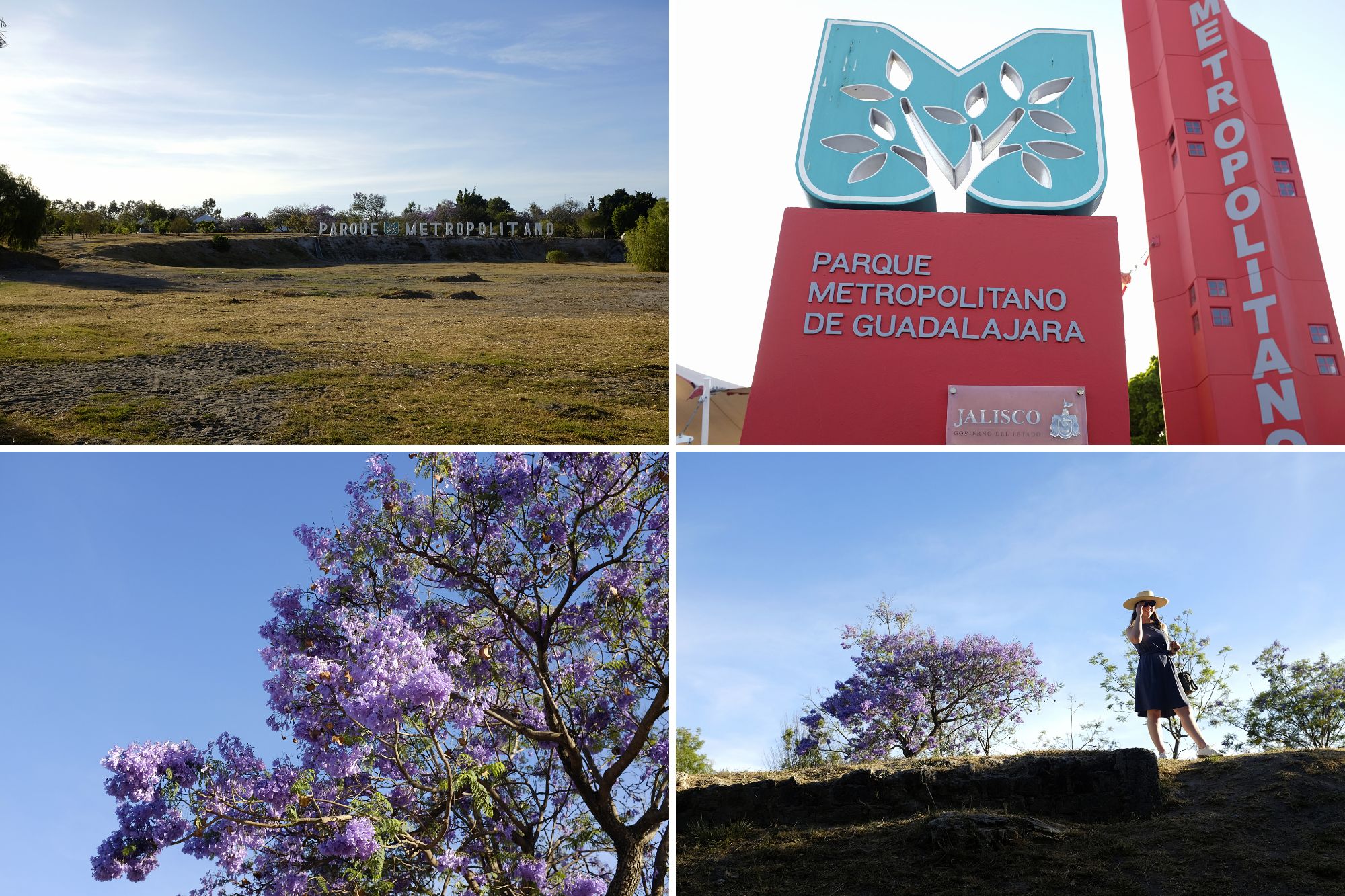 Collage of photos from Parque Metropolitano de Guadalajara 