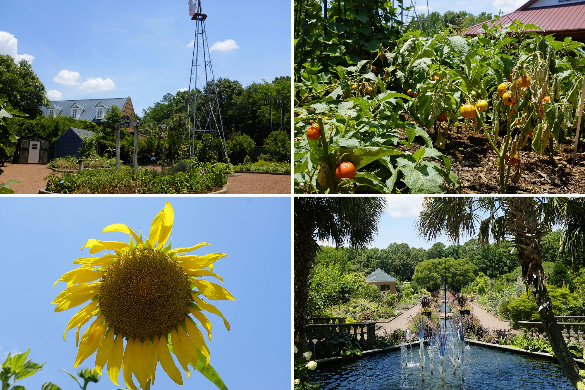 Plants in the gardens at the Riverbanks Zoo and Garden