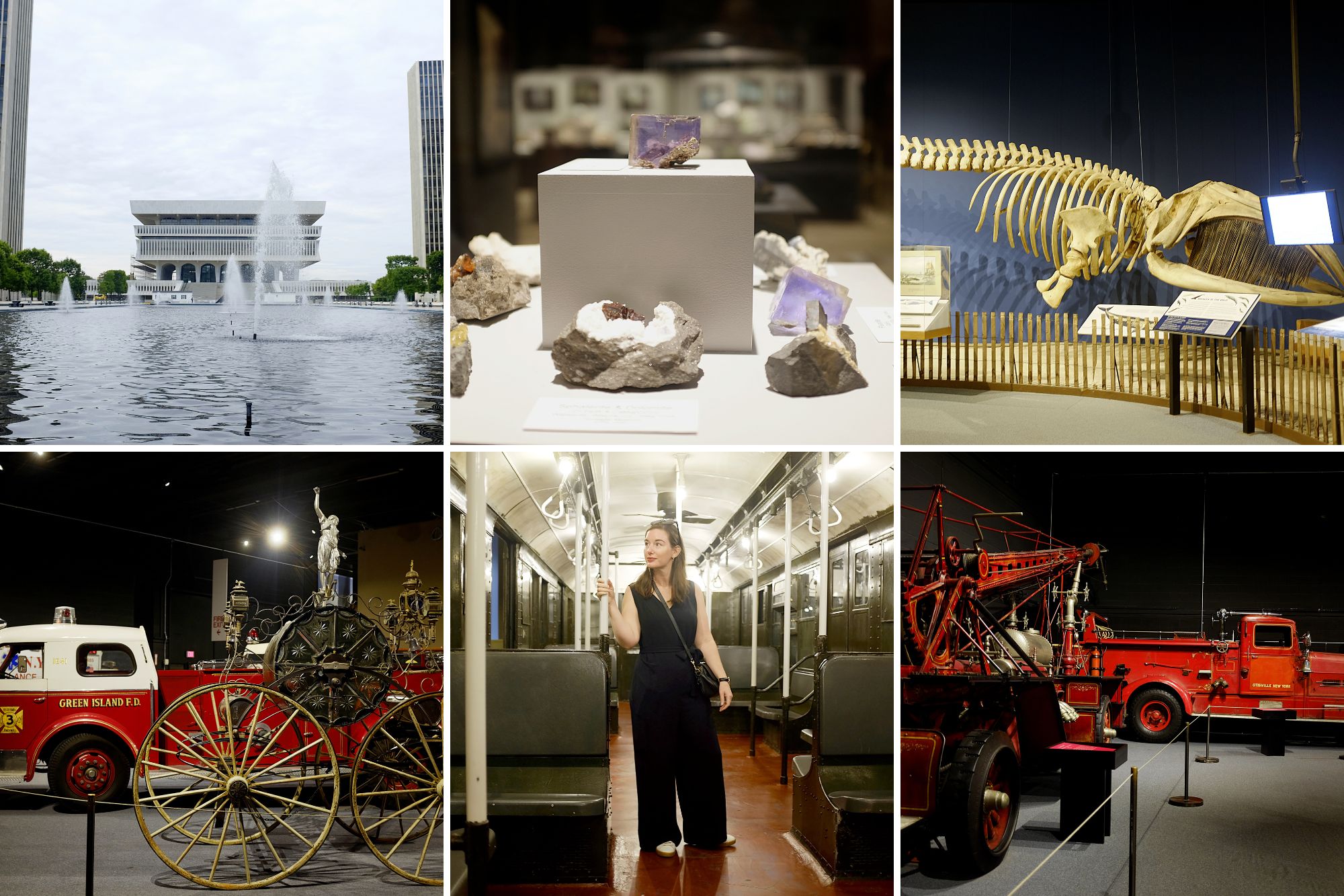 Collage of images inside and outside the New York State Museum