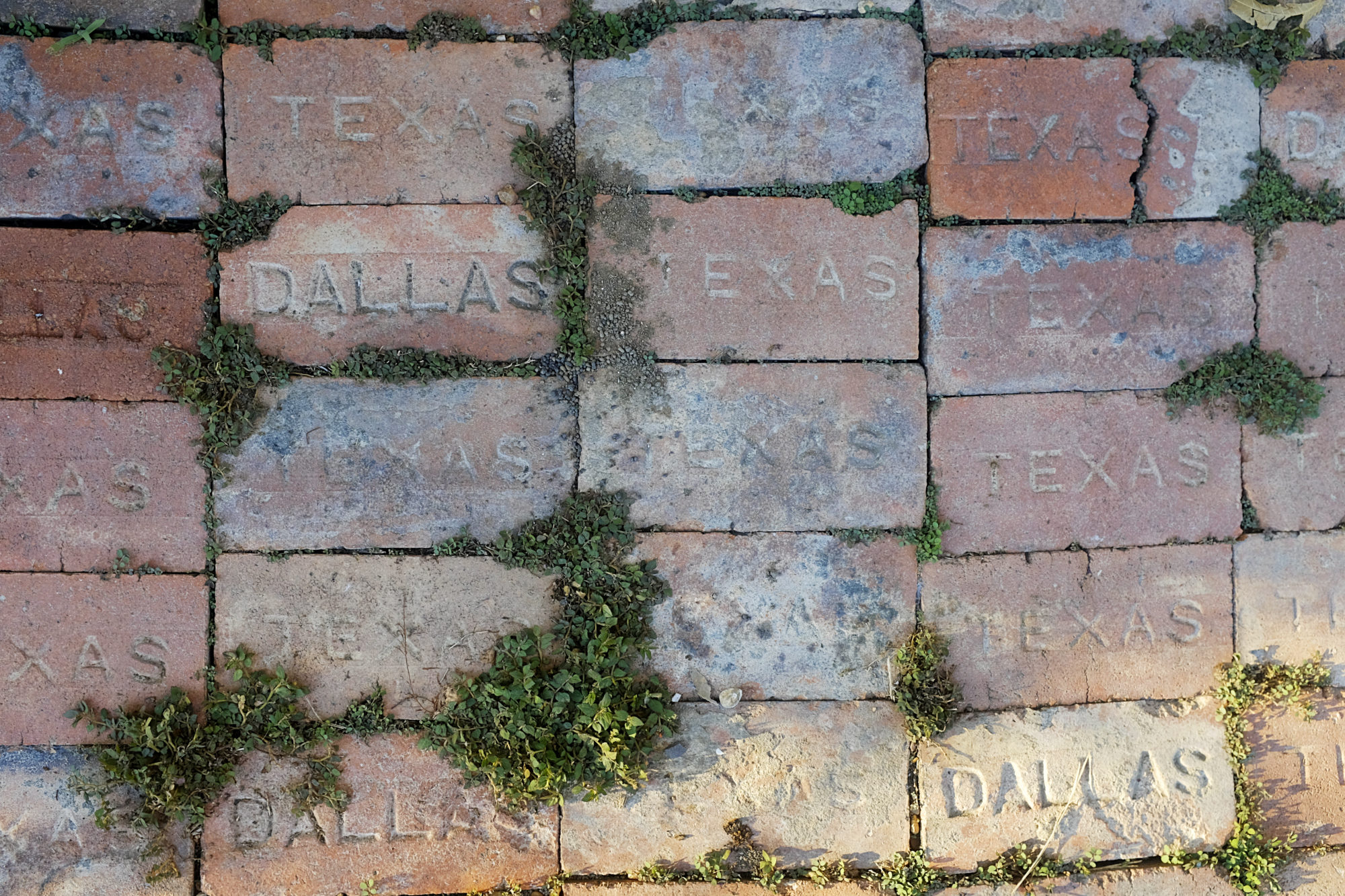 Bricks on a sidewalk that say Dallas Texas