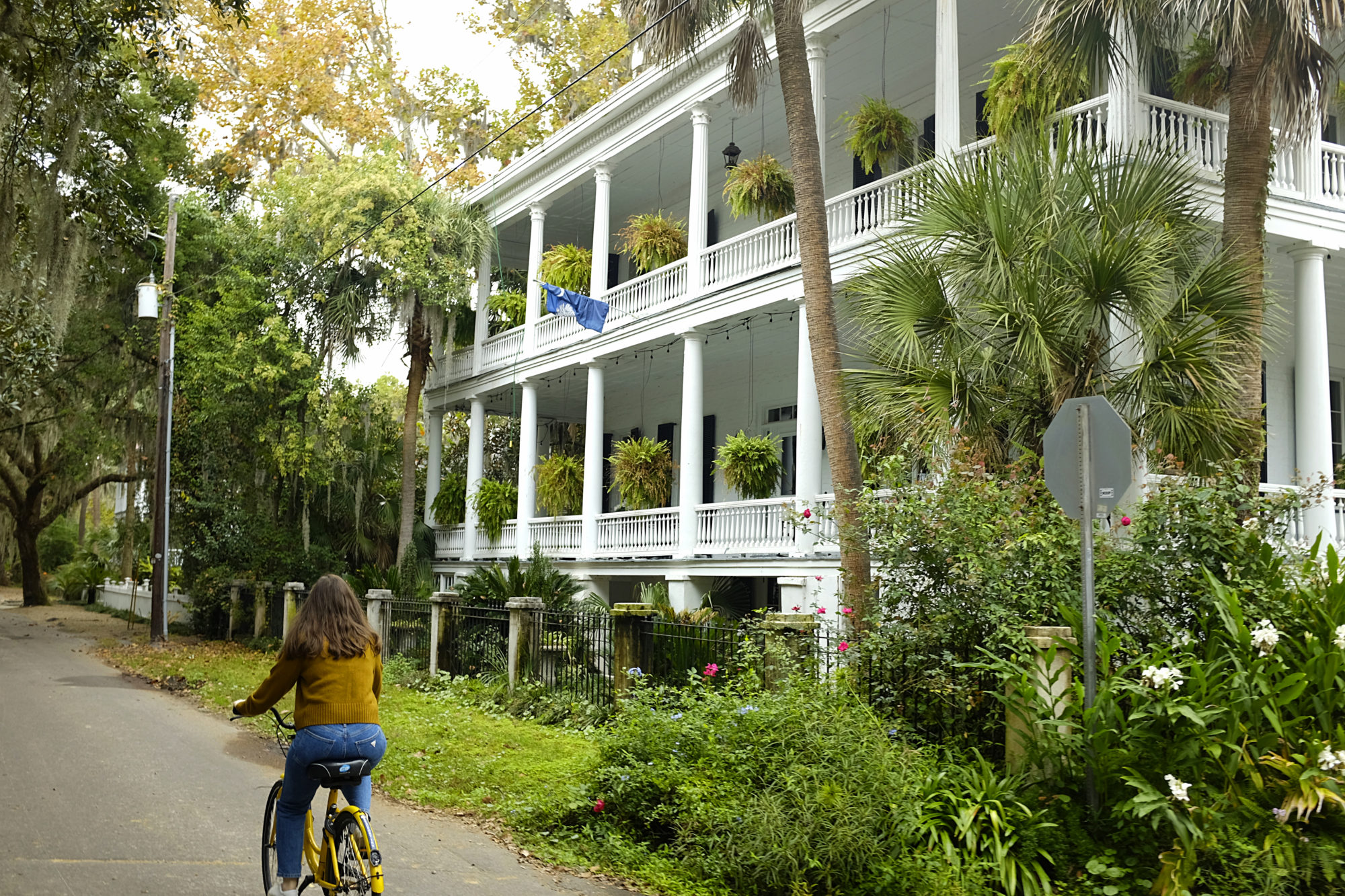A Lowcountry Gem: The Ultimate Travel Guide for Beaufort, South
