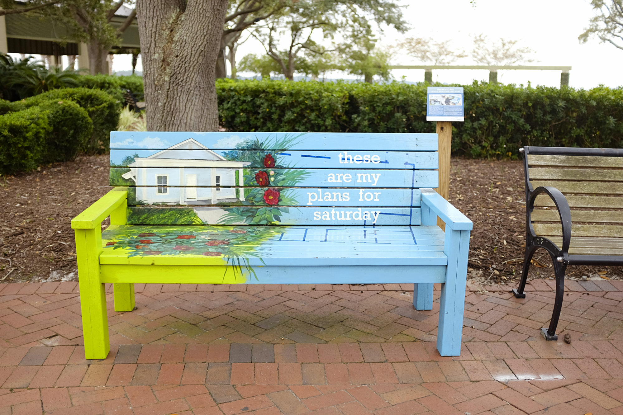 a painted bench reads These are my plans for Saturday