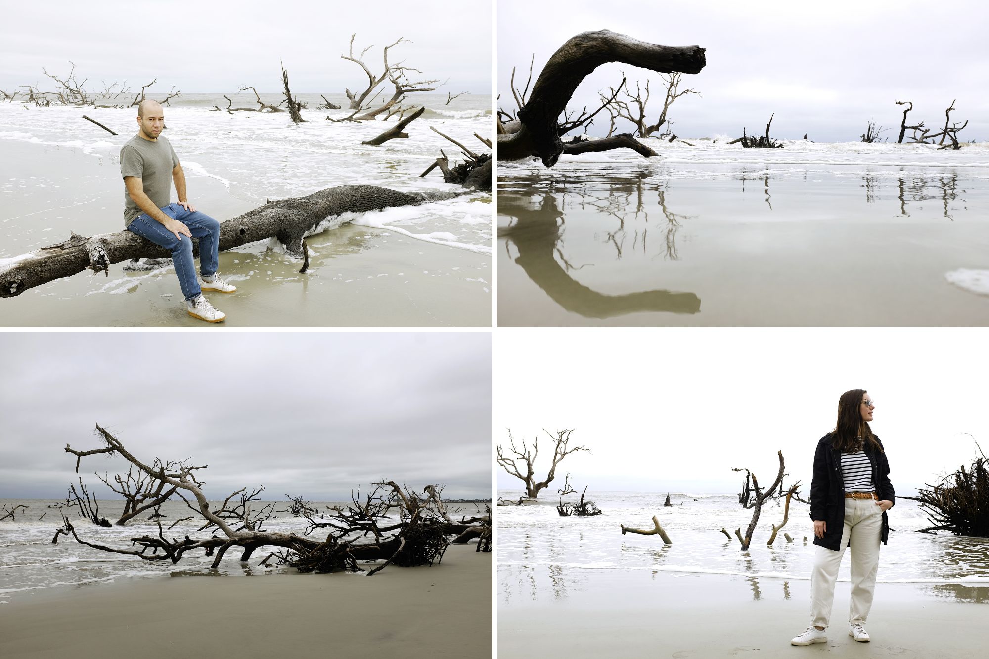 Collage of images at Hunting Island State Park's Boneyard Beach