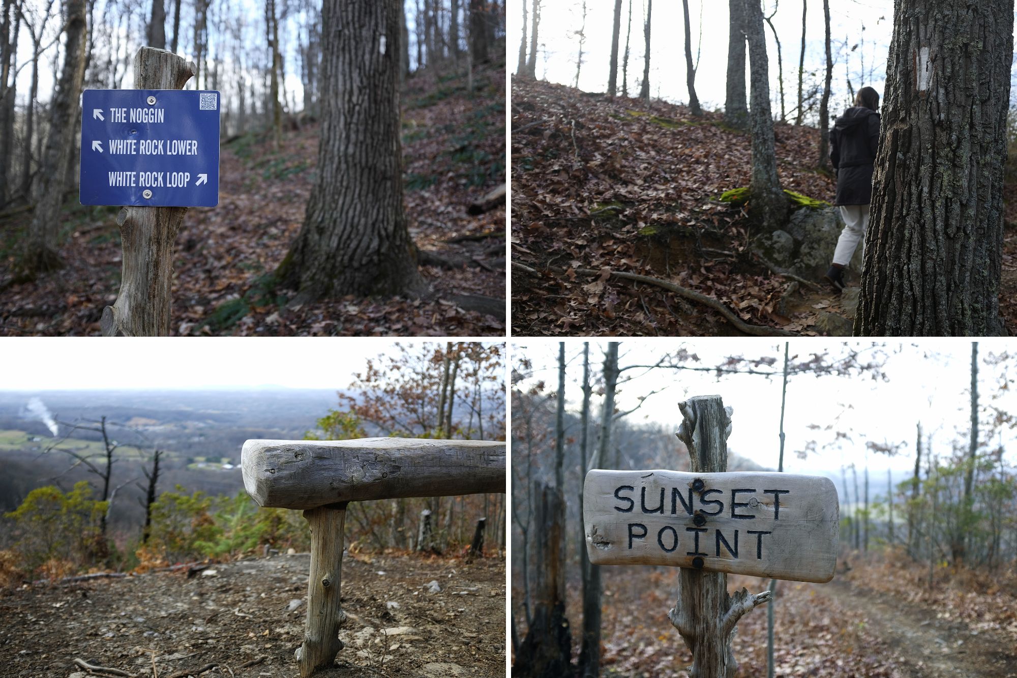 Views on the trails at Buffalo Mountain Park