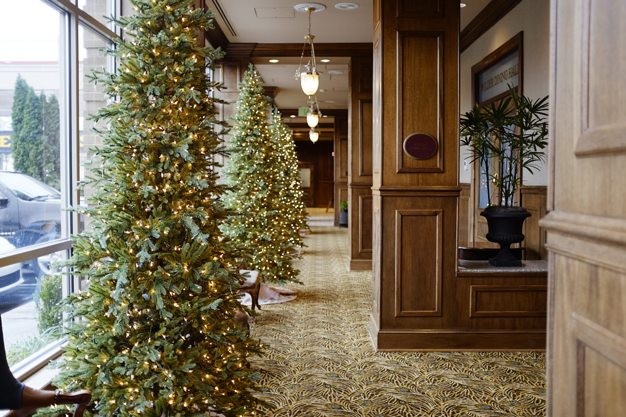 A view of the hallway in Carnegie Hotel with Christmas trees