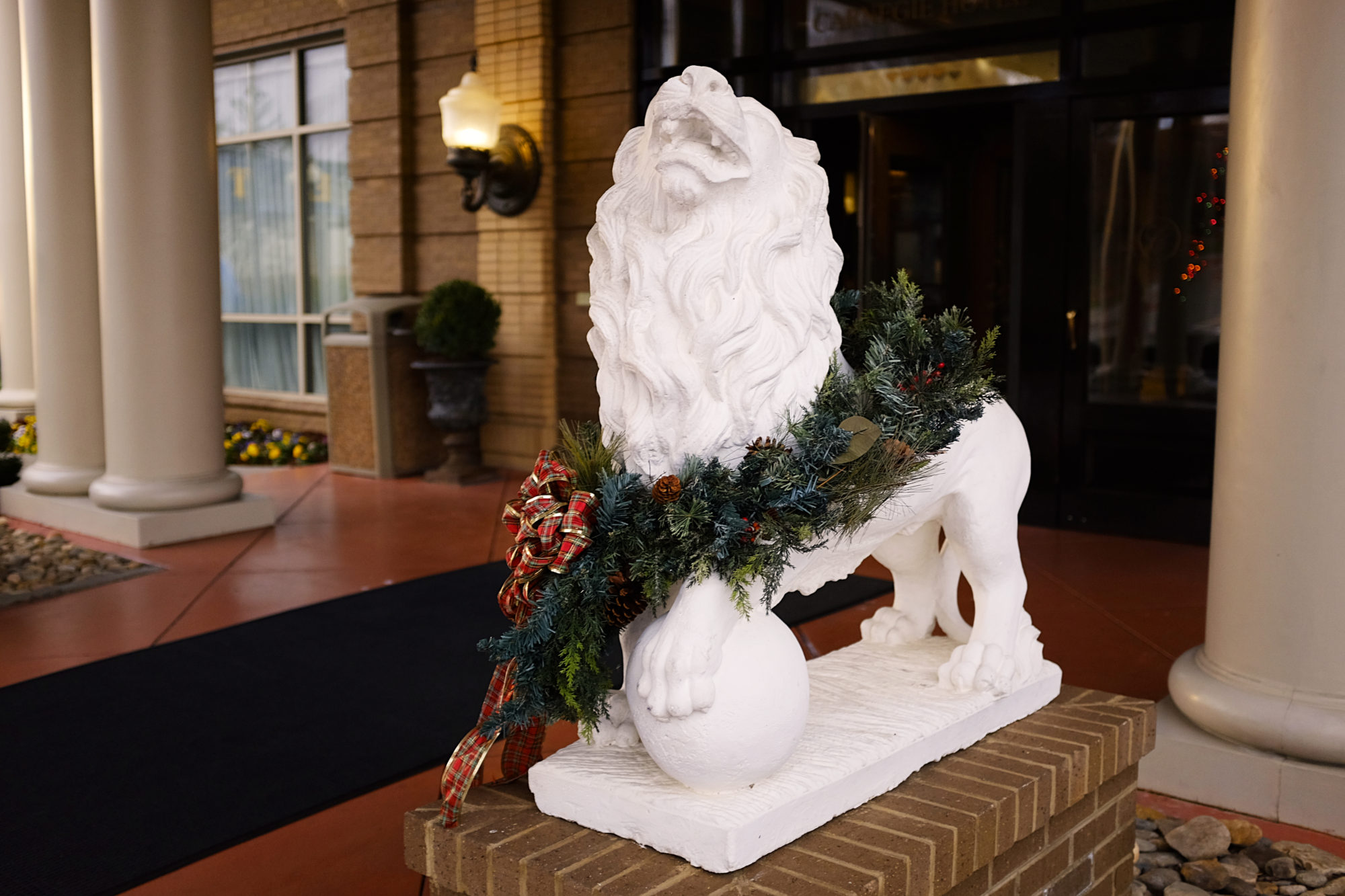 A lion outside Carnegie Hotel