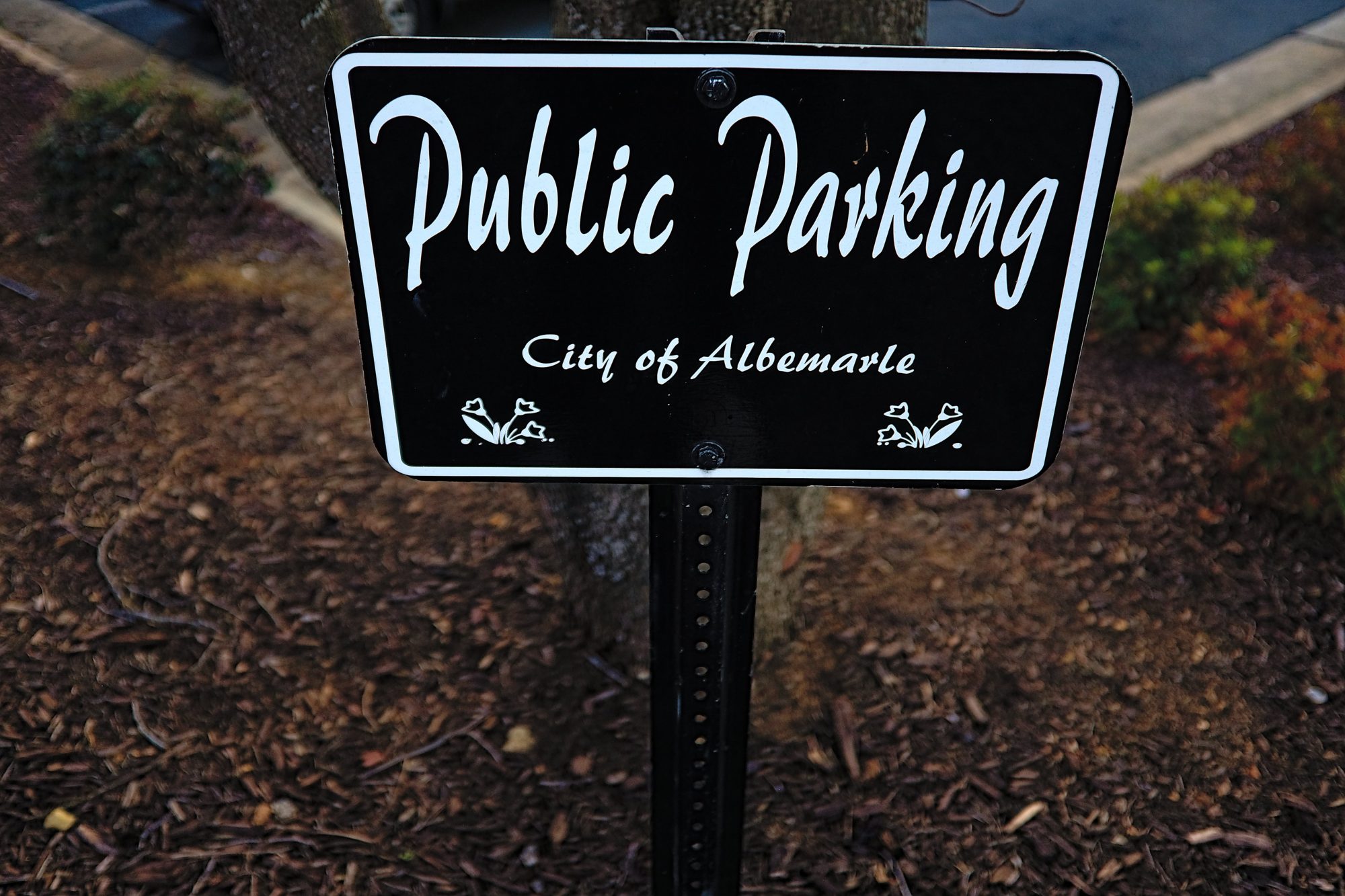 A sign that reads "Public Parking | City of Albemarle"