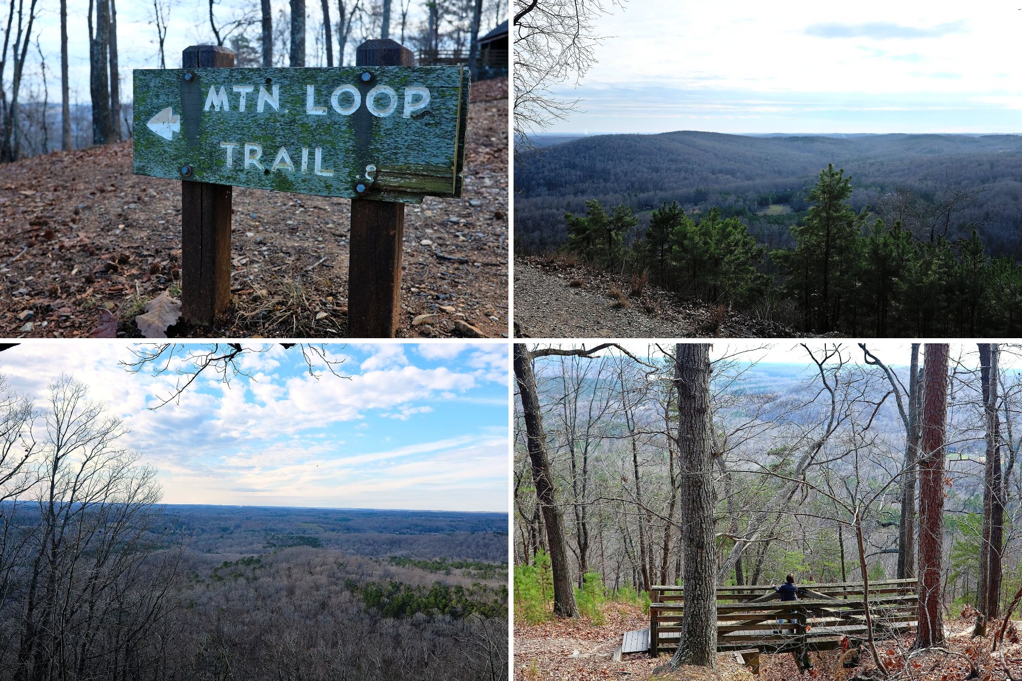 Collage of images of the view from Morrow Mountain State Park's Mountain Loop Trail