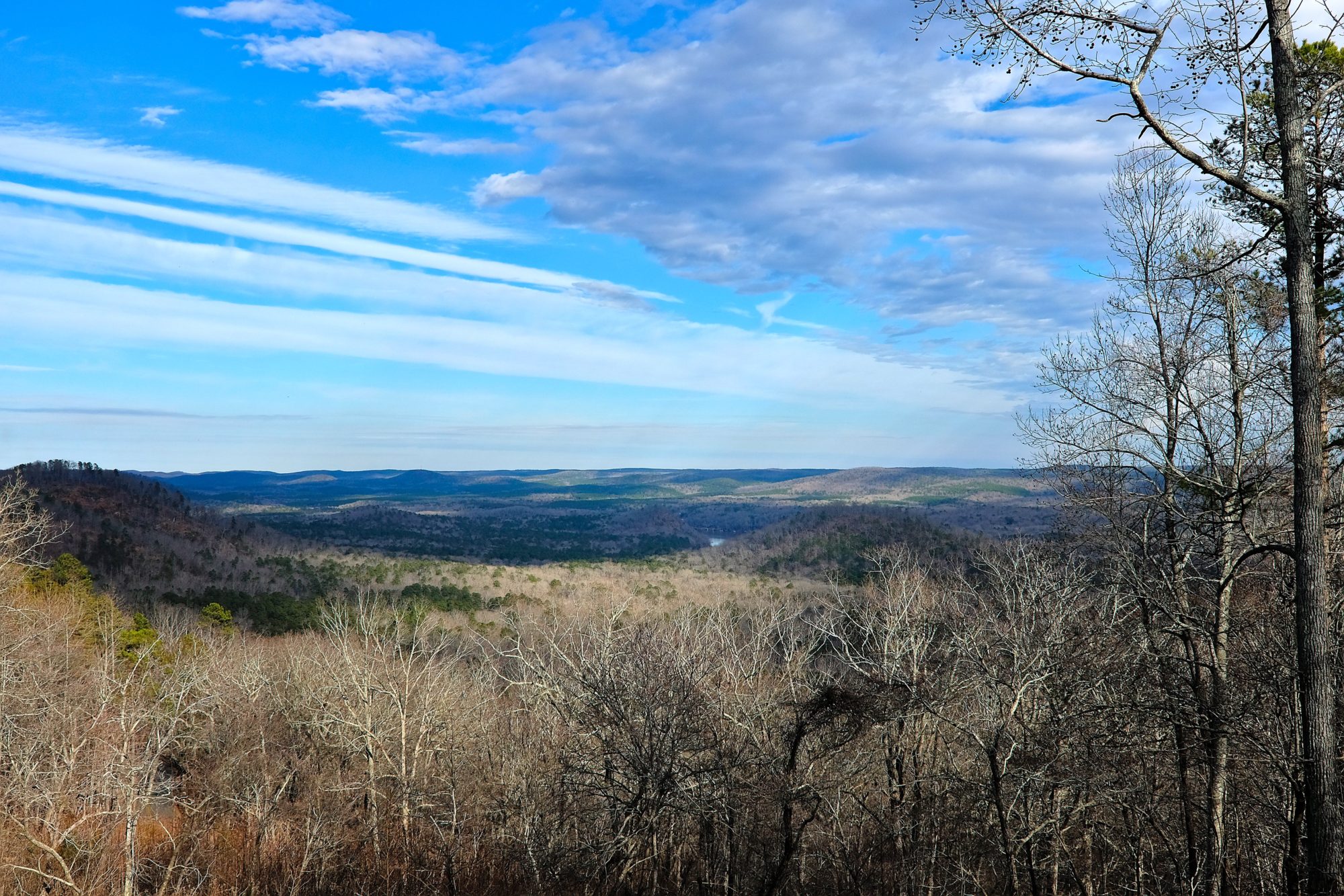 View from a trail at Morrow Mountain State Park
