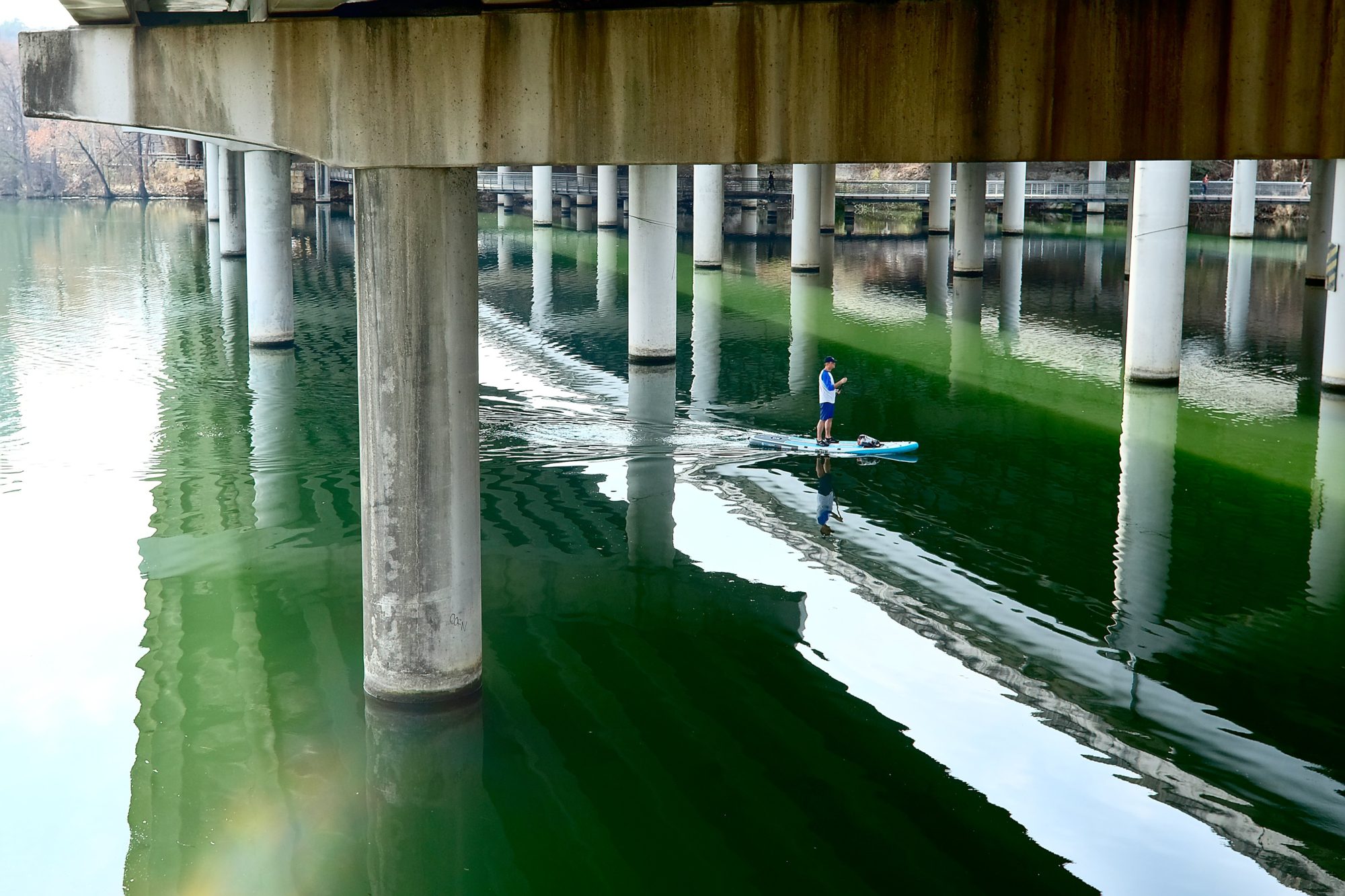 view of a paddleboarder from the Roy and Ann Butler Hike and Bike Trail