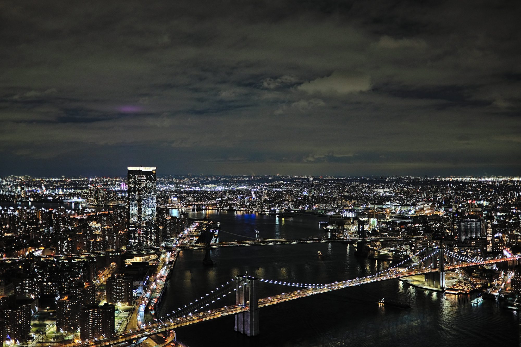 view of NYC from Overstory