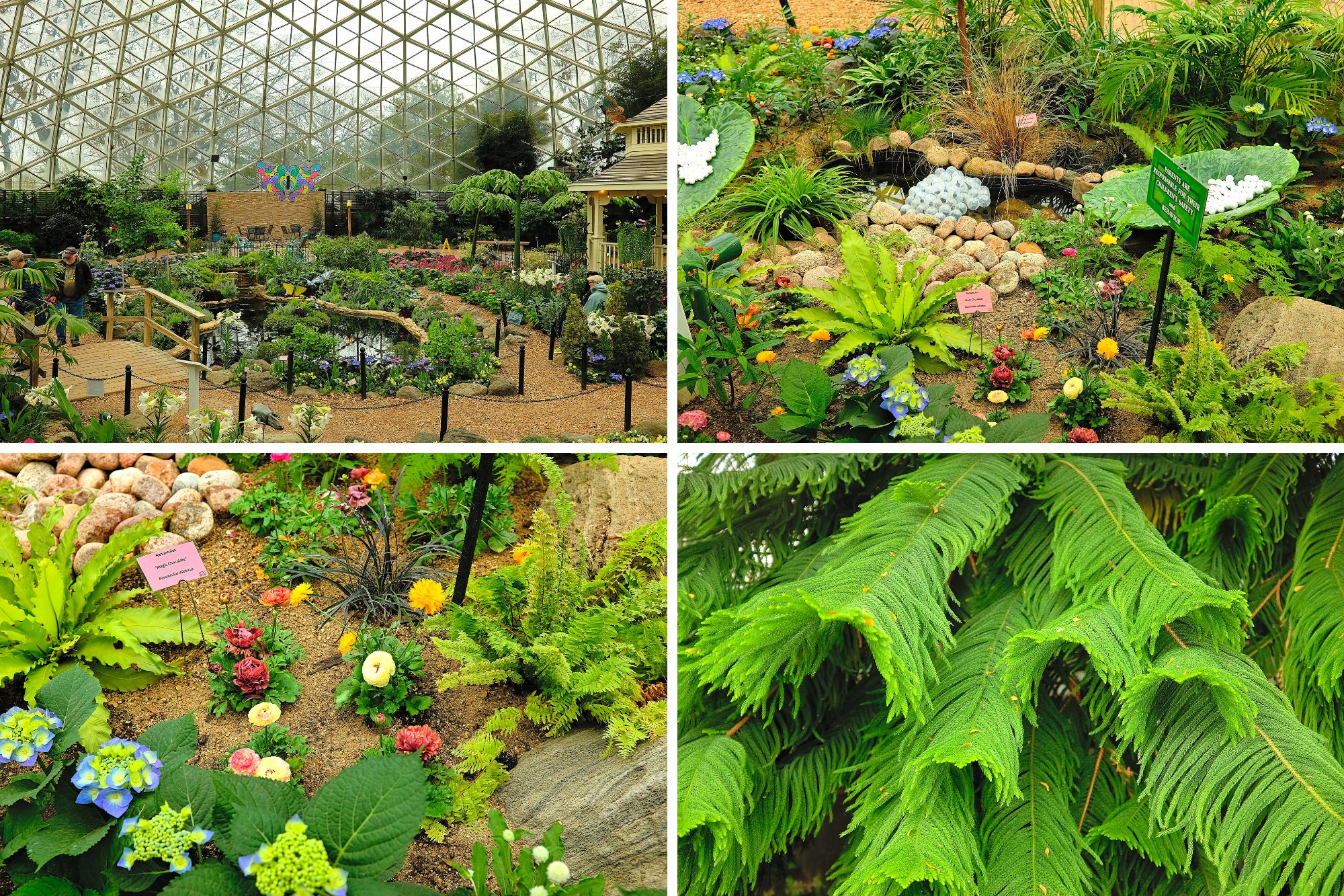 Scenes inside the Mitchell Park Show Dome 