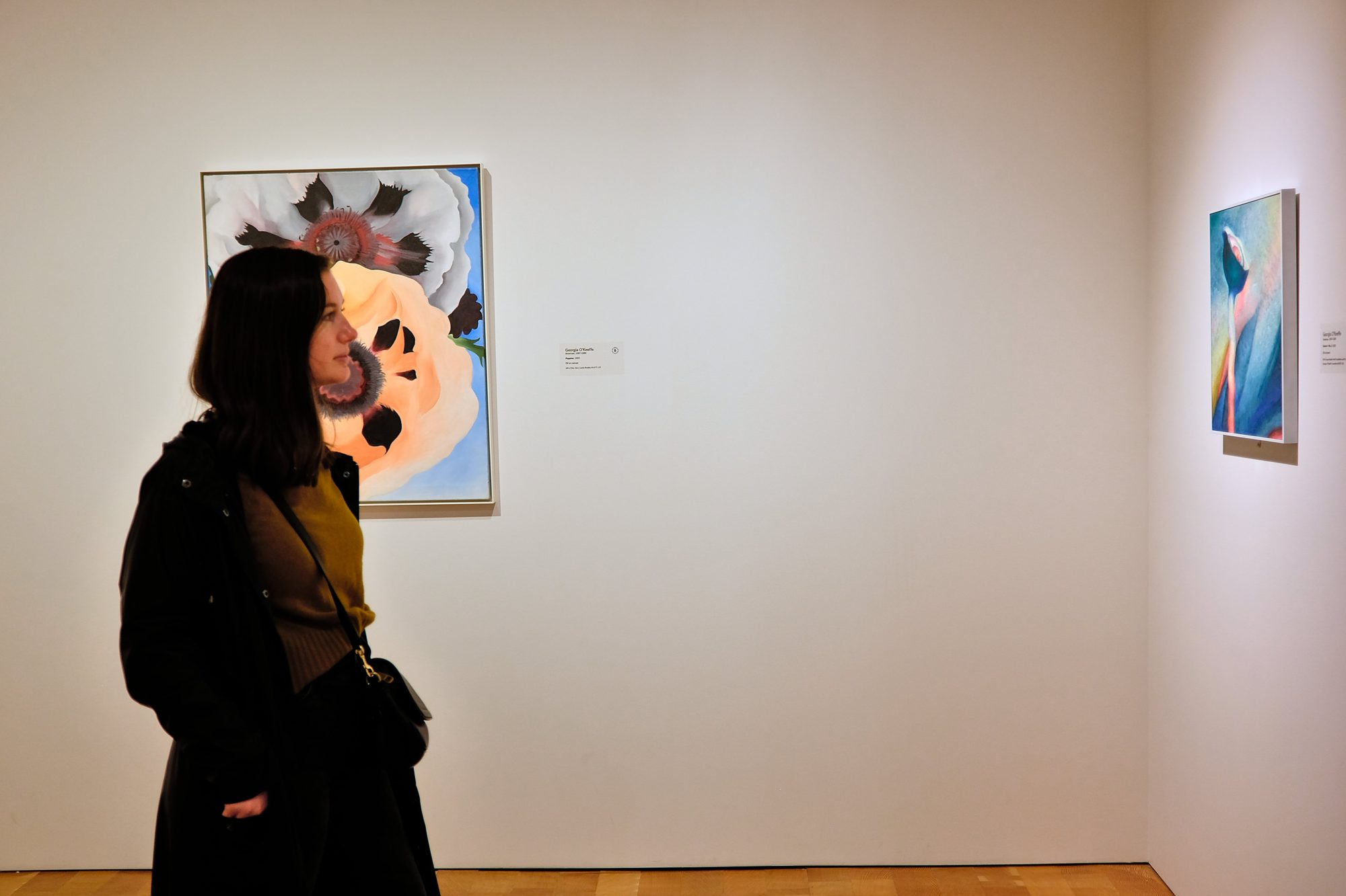 Alyssa studies a painting at the Milwaukee Art Museum