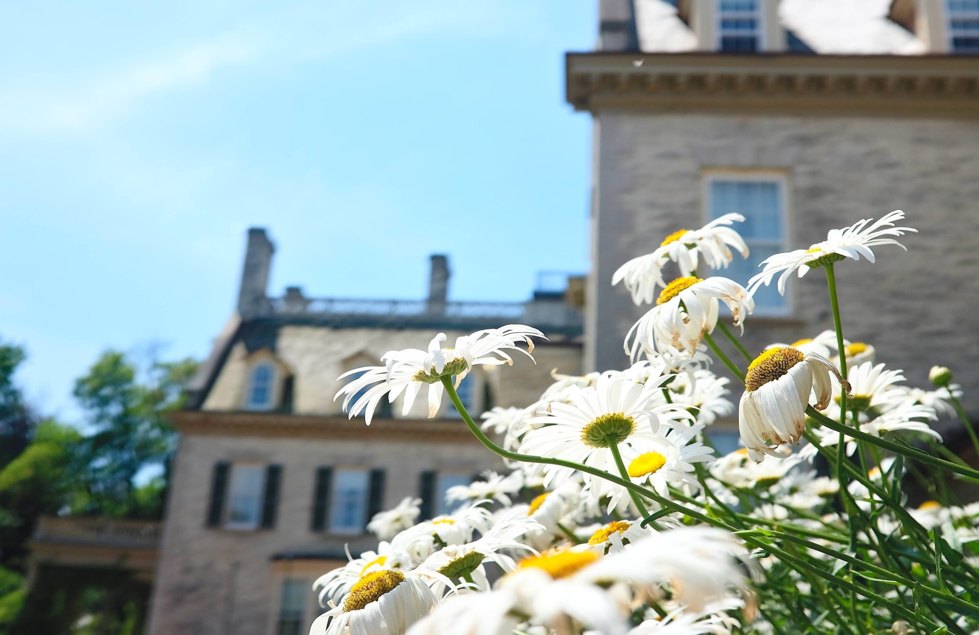 View of the Eastman estate with flowers in the foreground