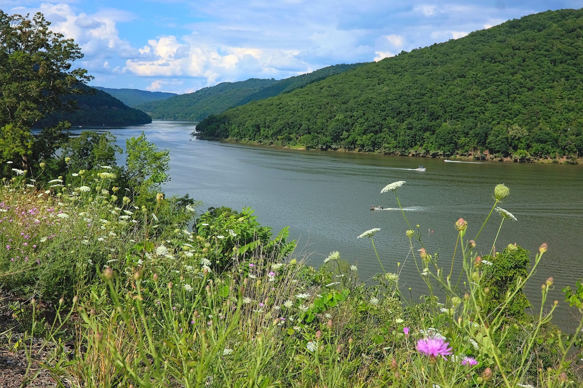 Bluestone Lake with flowers in the foreground
