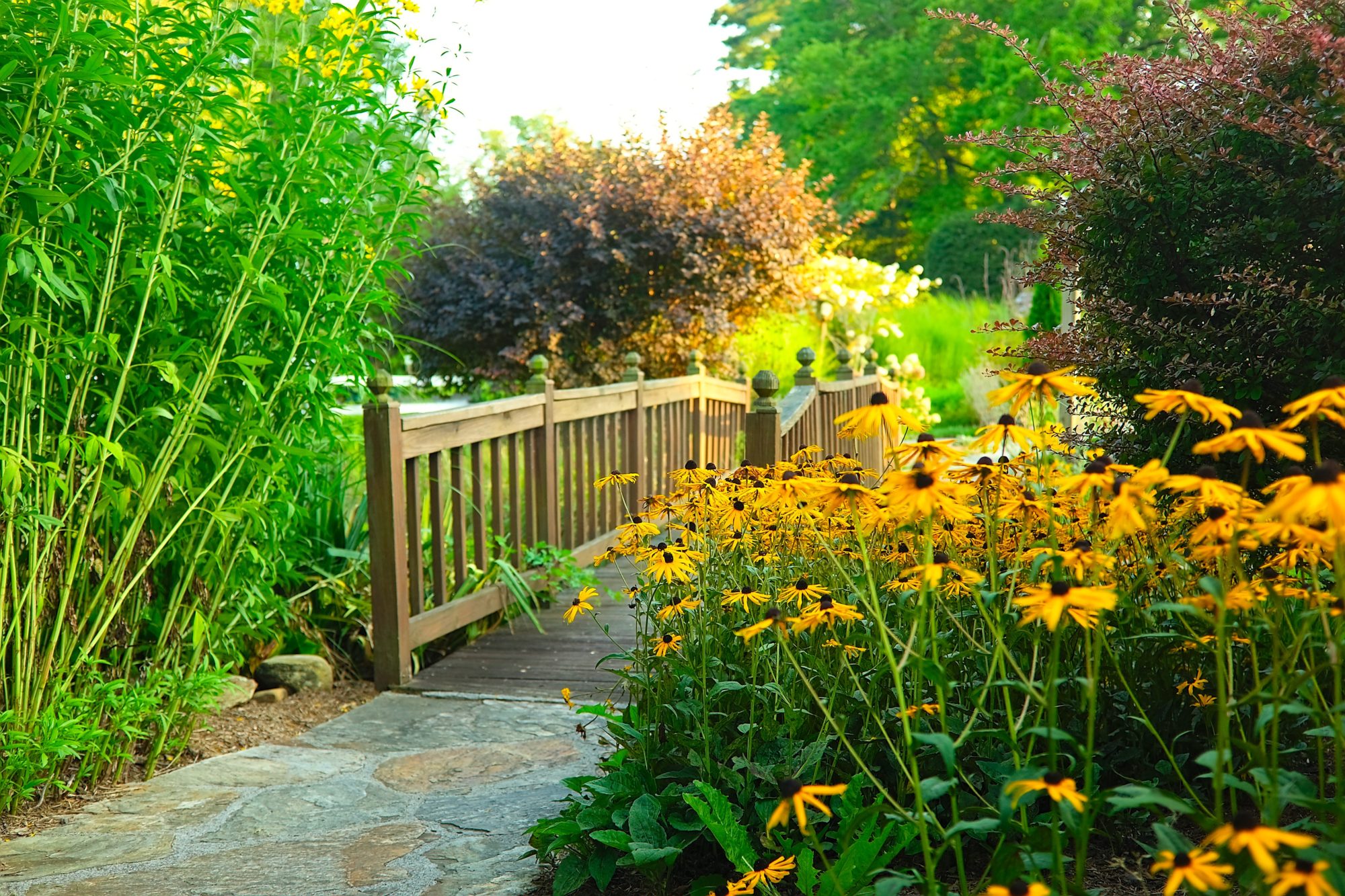 A bridge and flowers on the property