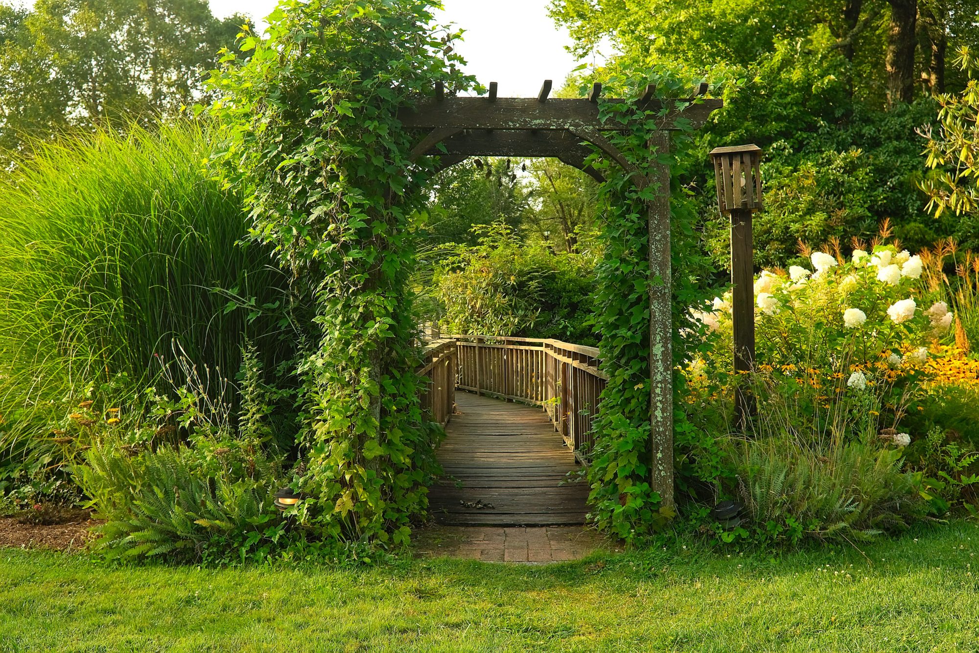 A greenery lined path at the Azalea Garden Inn