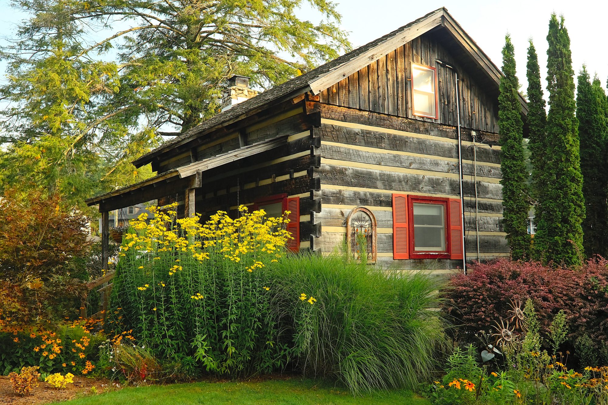 A log cabin surrounded by plants and flowers