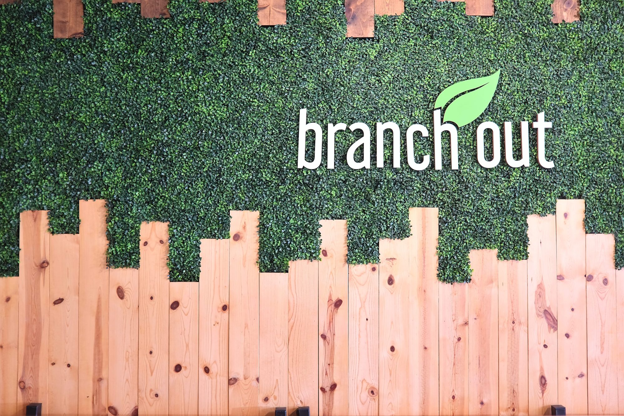 A wall inside the restaurant that reads "branch out"