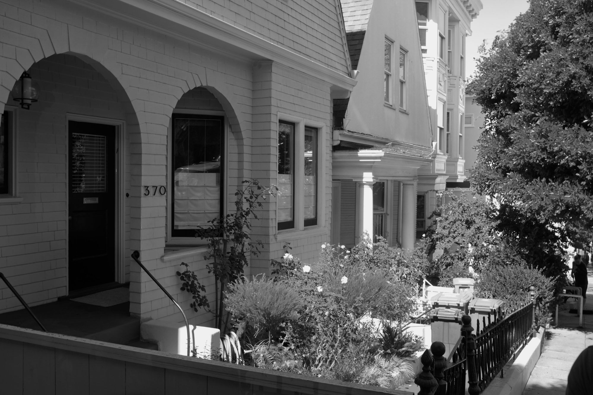 A black and white photo of gardens in San Francisco