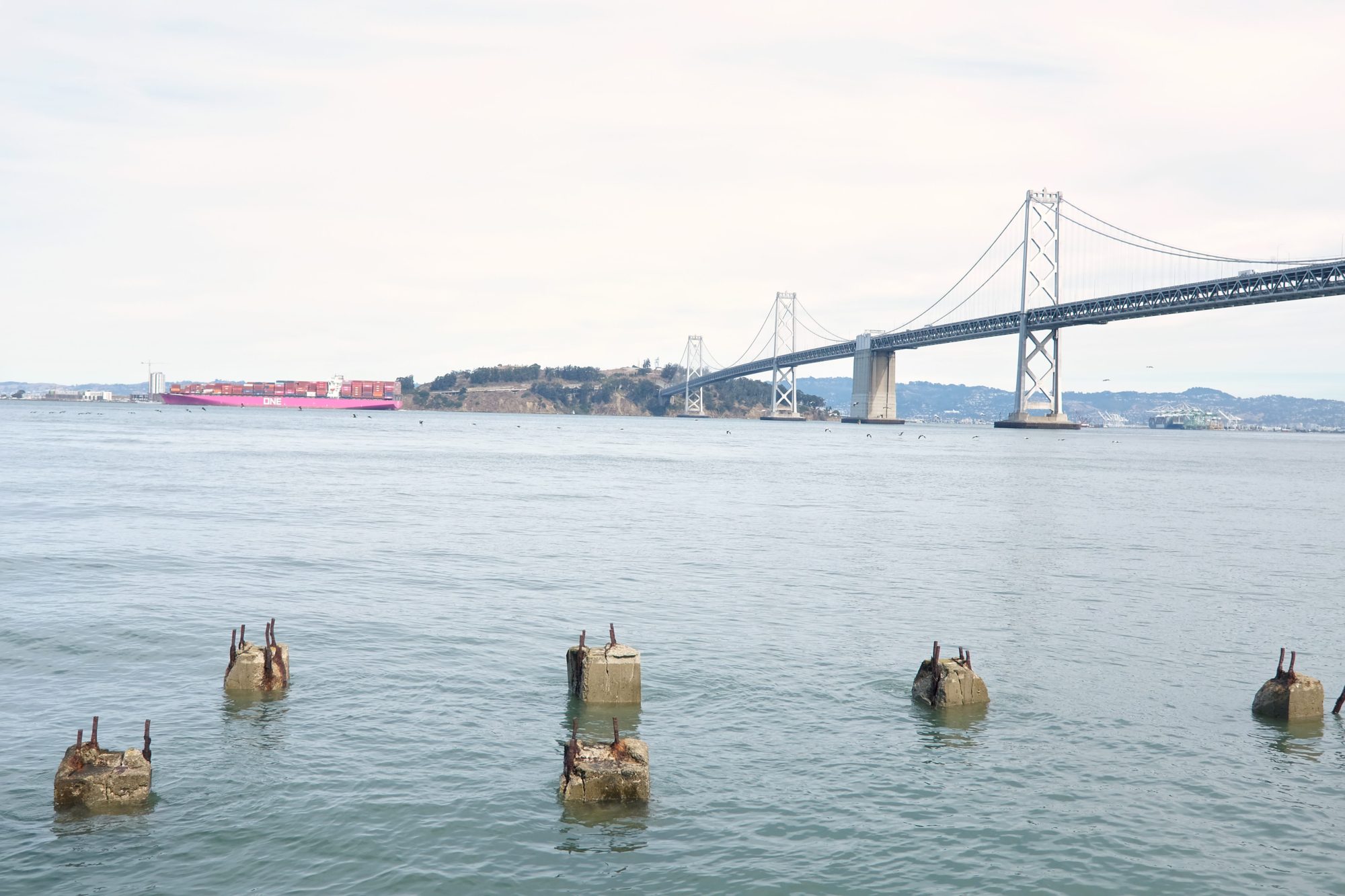 The Bay Bridge in San Francisco with a barge and birds flying by