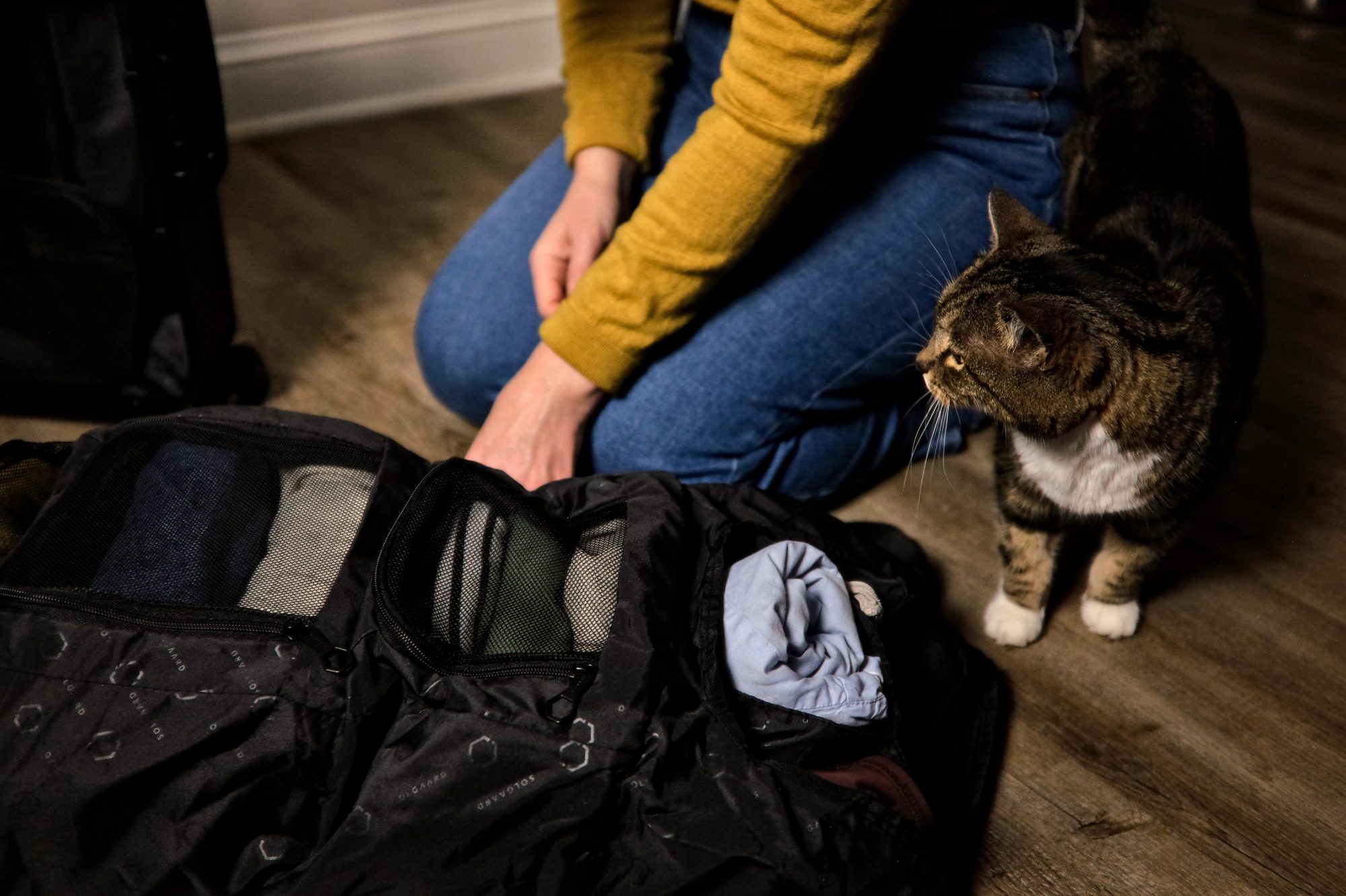 Meow helps Alyssa pack the Solgaard Carry-On Closet