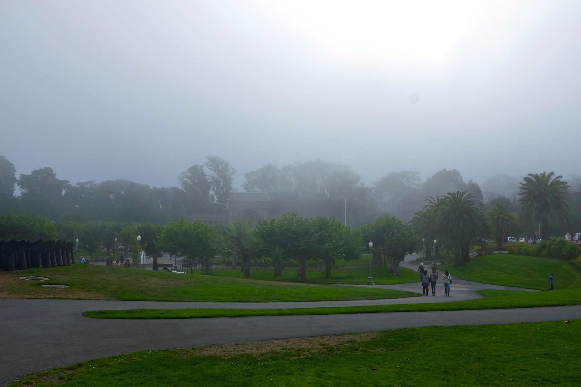 A dense fog rolls in to Golden Gate Park