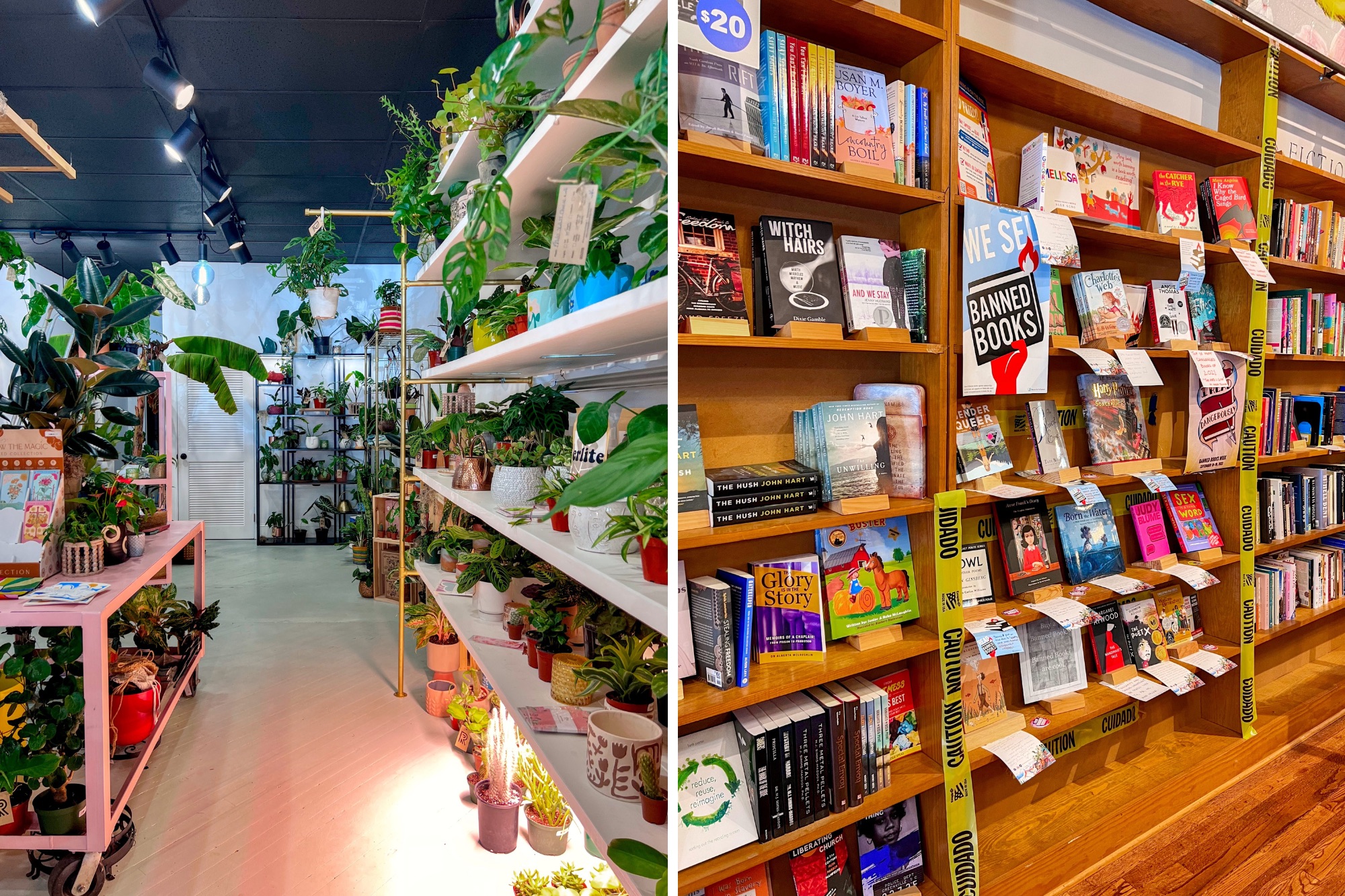 A plant shop and a bookstore in Salisbury