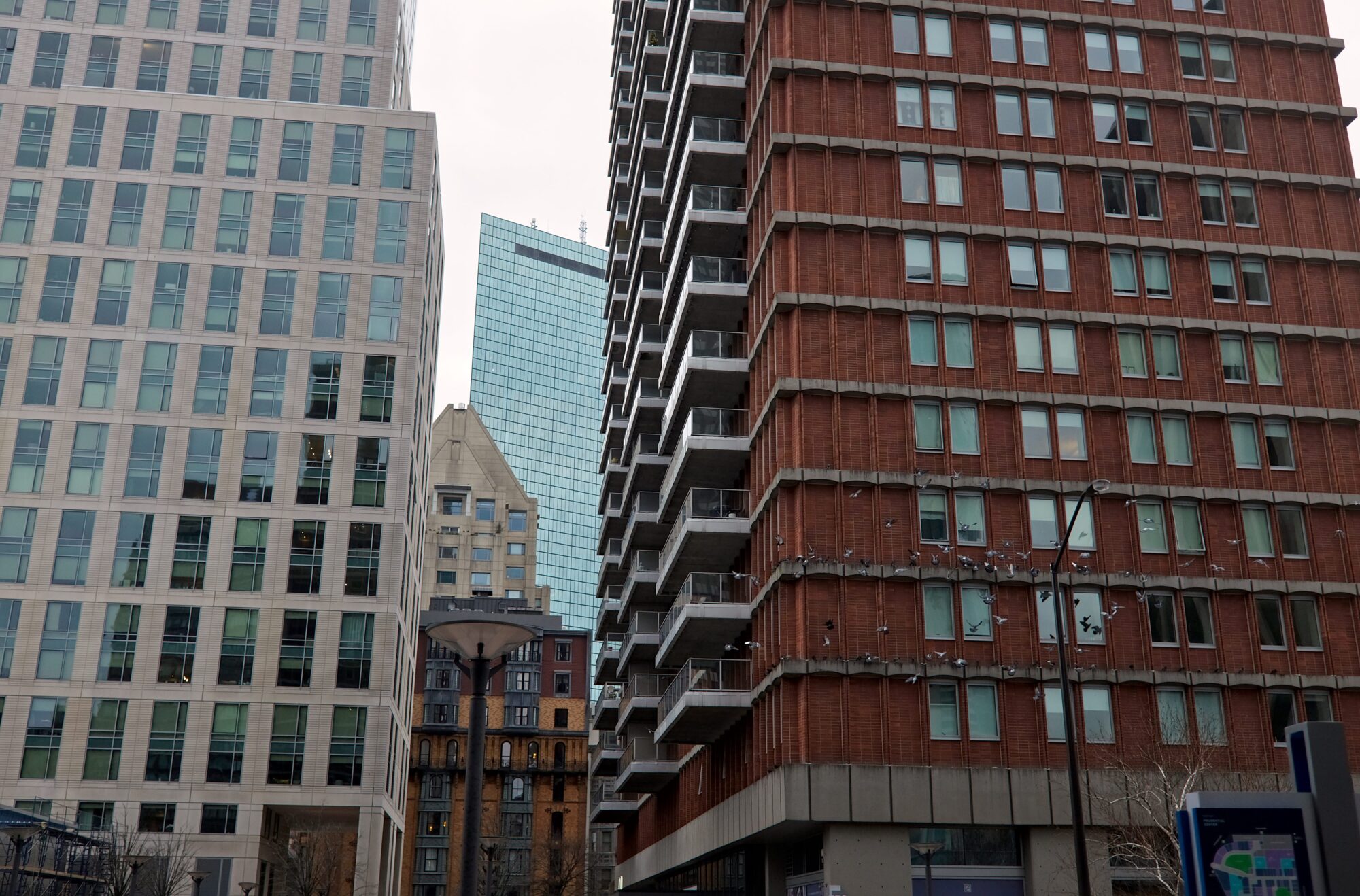 Pigeons fly in front of a building in Boston