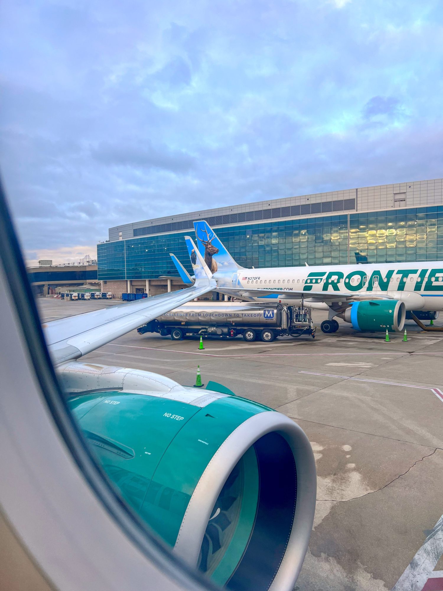 View of a Frontier plane wing and tail, each with a different animal