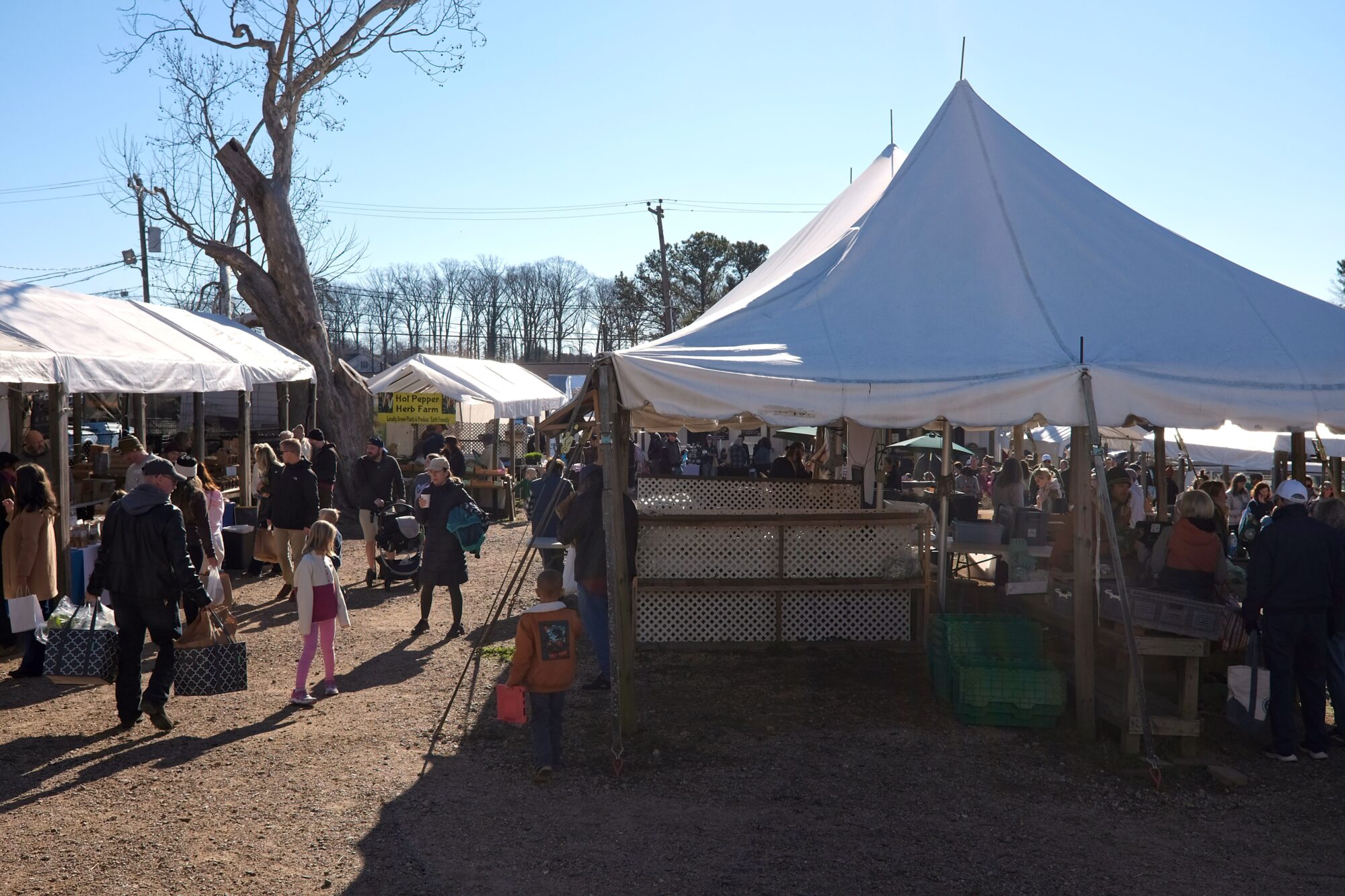 Shoppers at the Matthews Farmers Market