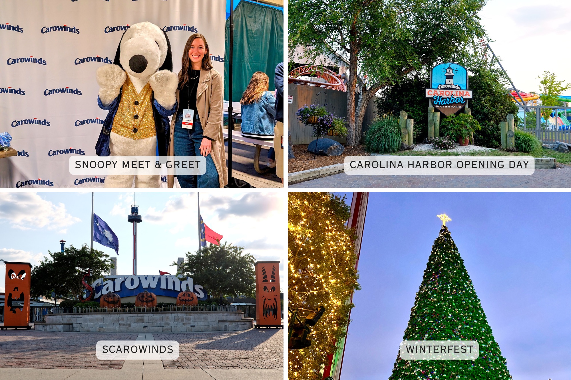 Four images: Alyssa with Snoopy, the entrance to Carolina Harbor, SCarowinds sign, and a large tree at WinterFest