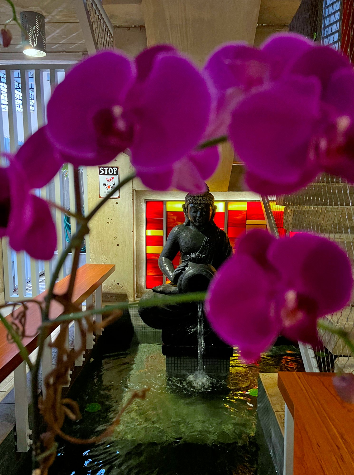 View of a fountain in the lobby at Dream Inn