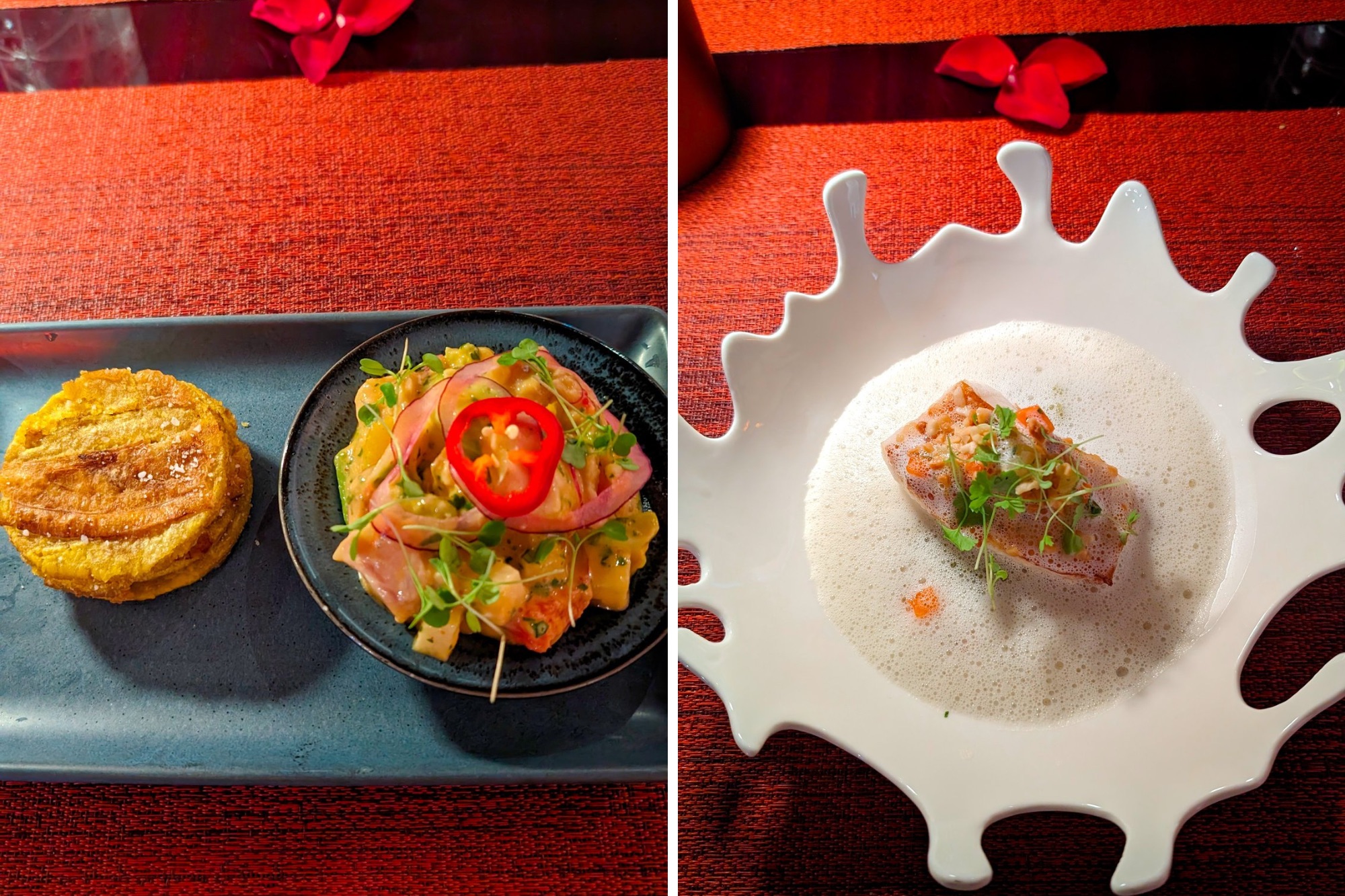 Two fish based dishes at Marmalade in San Juan