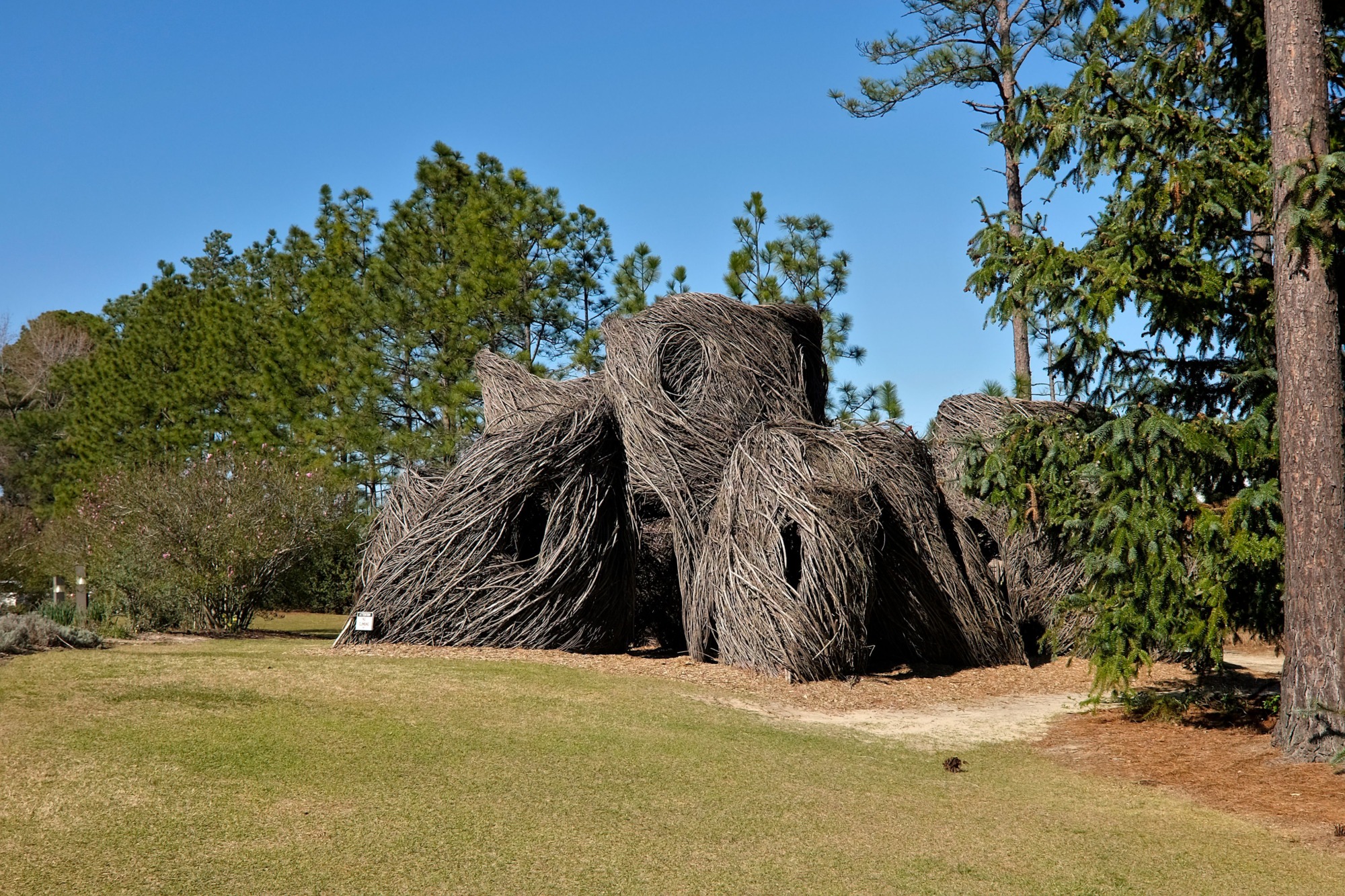 A swirling sculpture of branches at Sandhills Horticultural Gardens