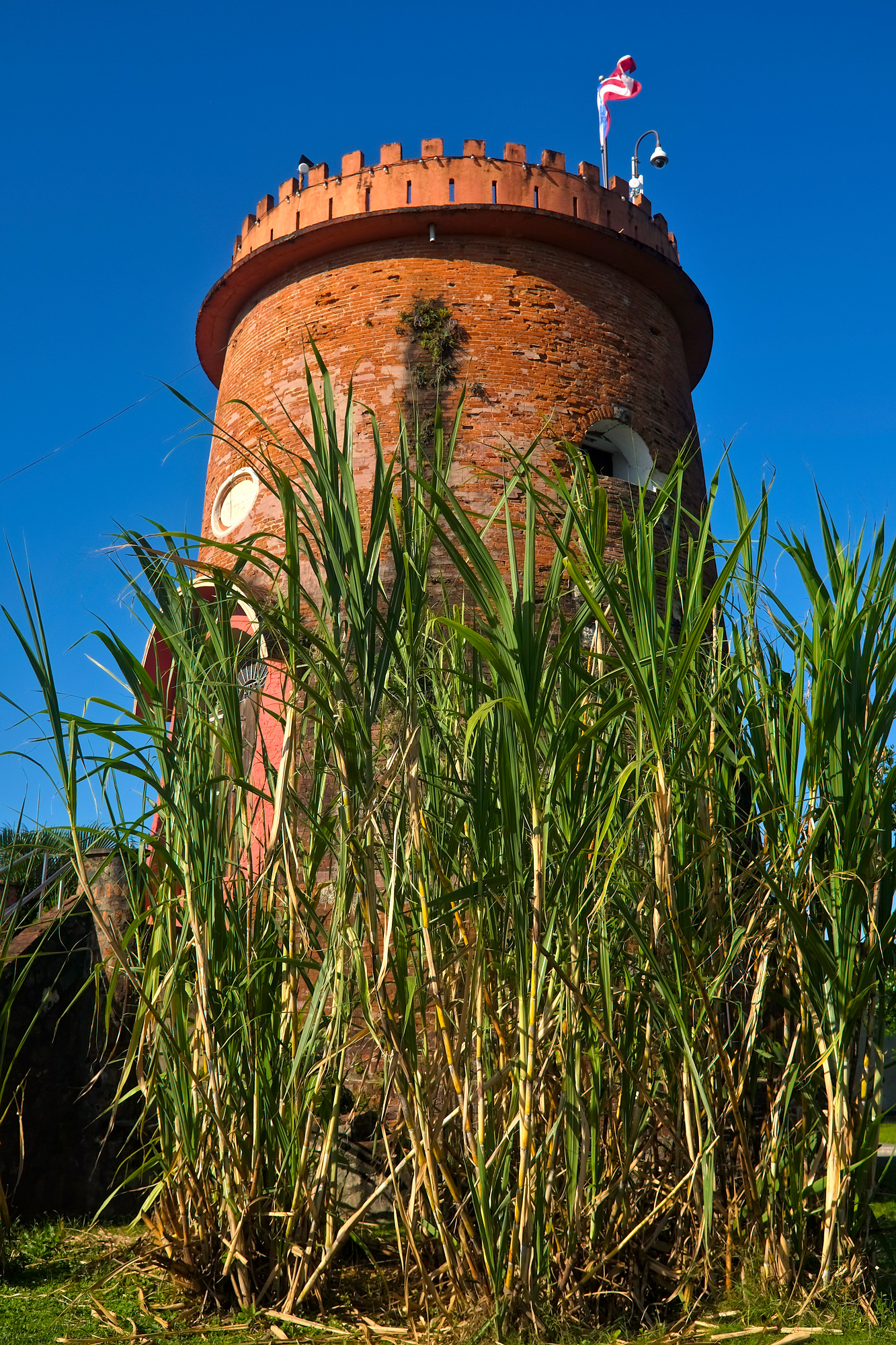 A rum distillery with sugar cane in San Juan