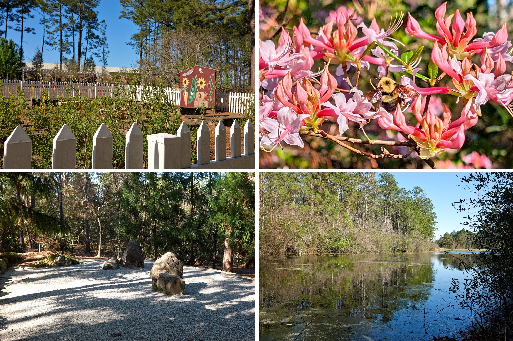 Four images from Sandhills Horticultural Gardens