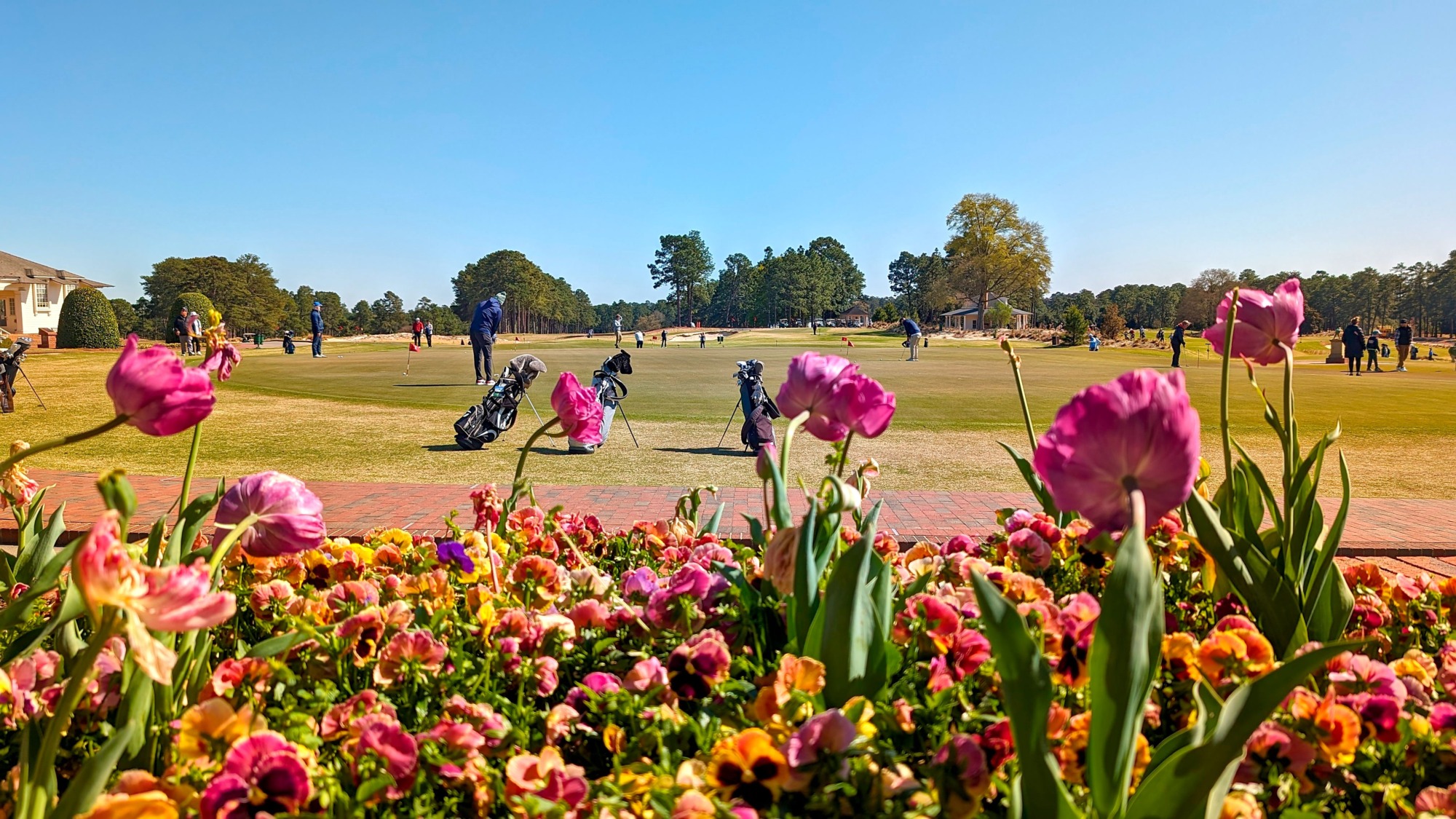 Golfers putter about at Thistle Dhu