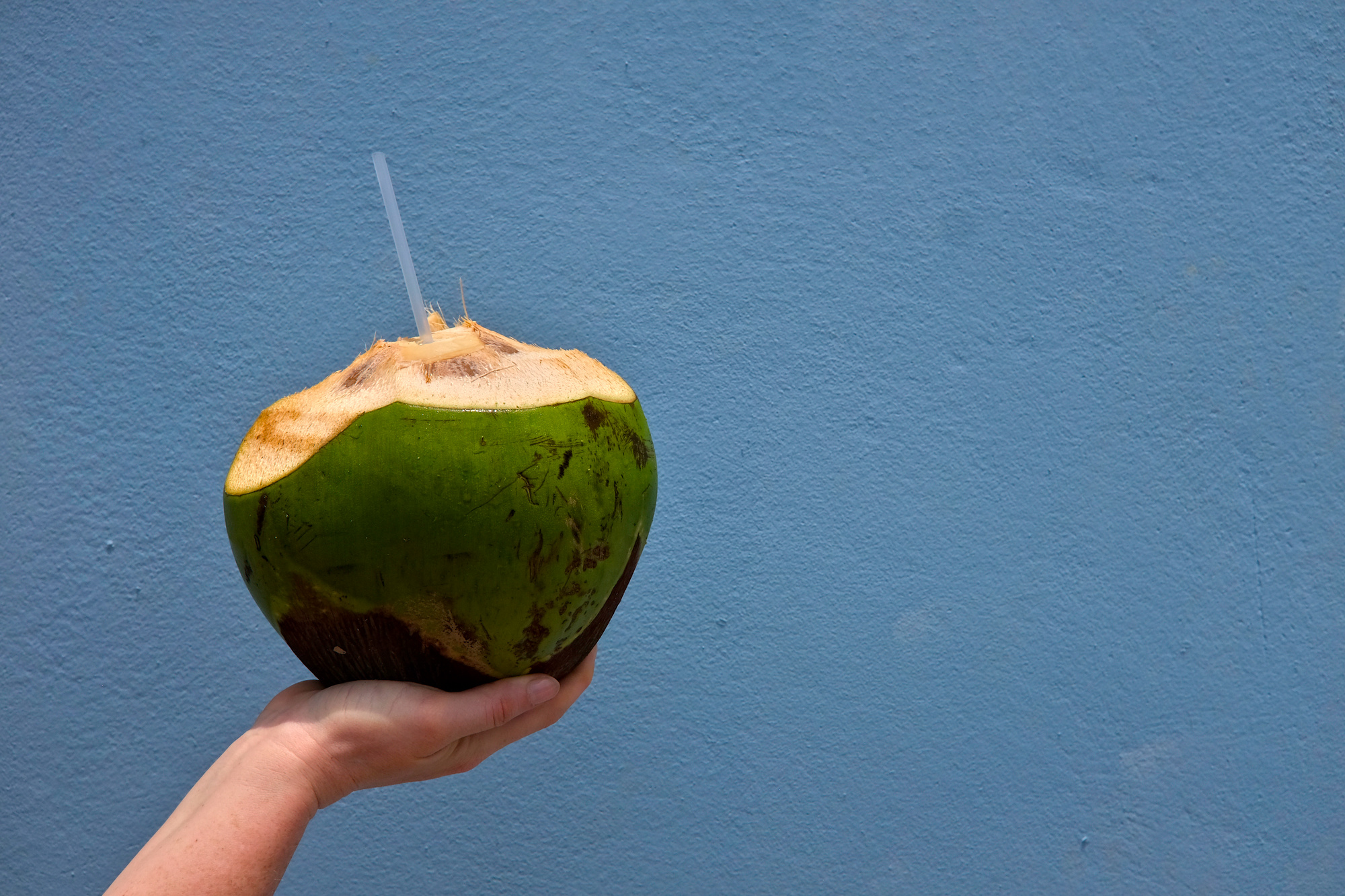 A hand holds a coconut in front of a blue wall