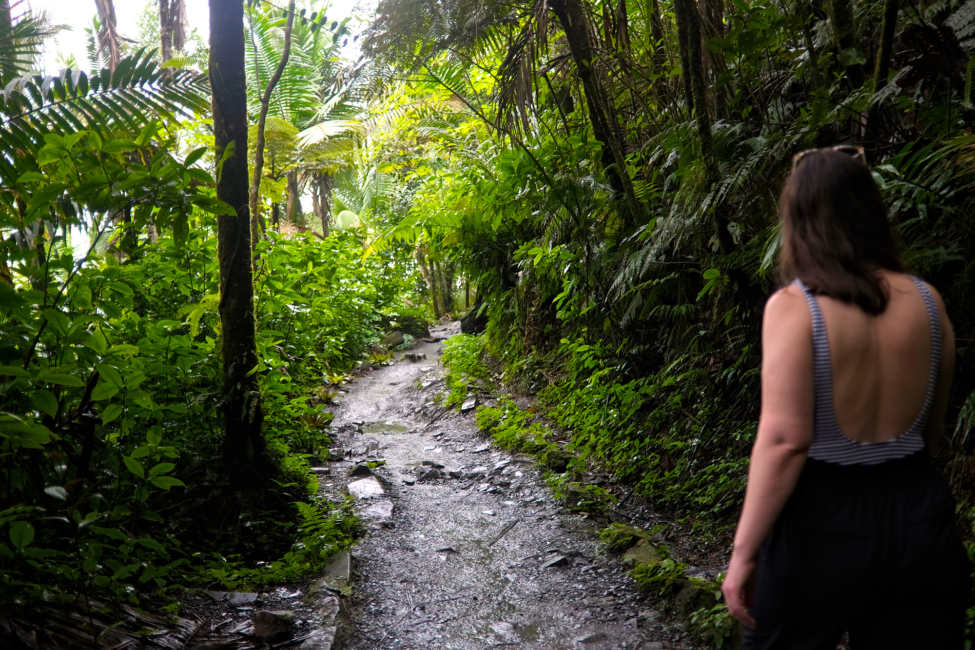 Alyssa walks down a trail in El Yunque