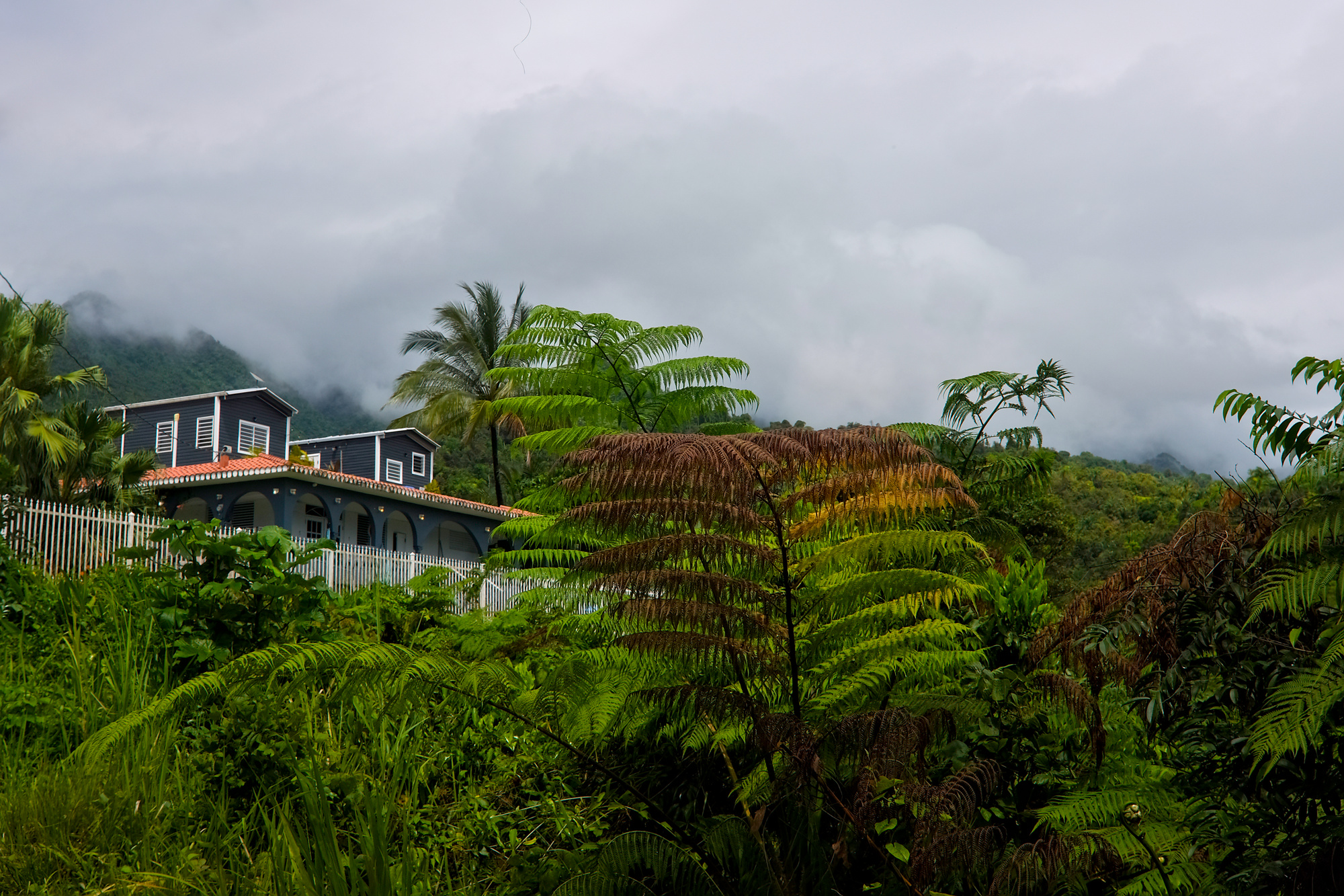 View of Hacienda Catalina from the road