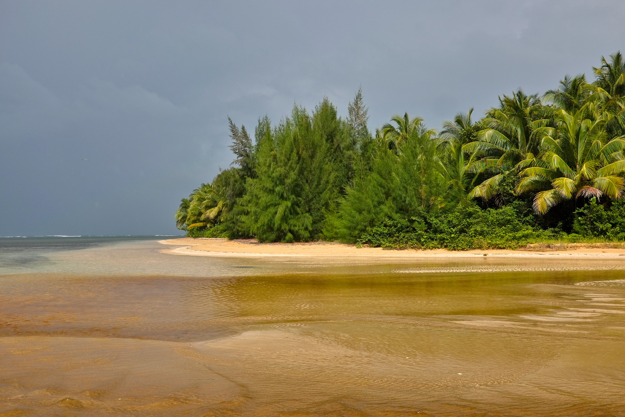 A secluded beach in Puerto Rico