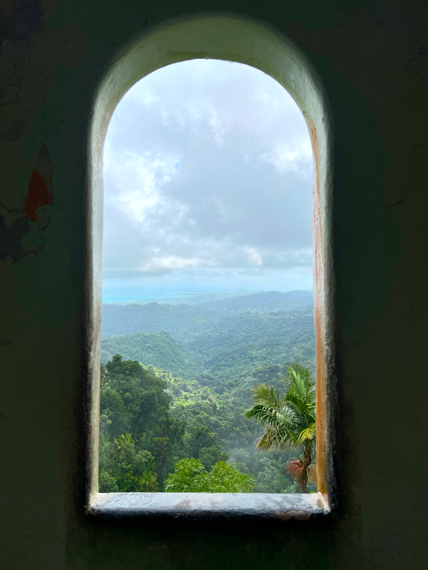 View of the rainforest and beach from Yokahu Tower in El Yunque