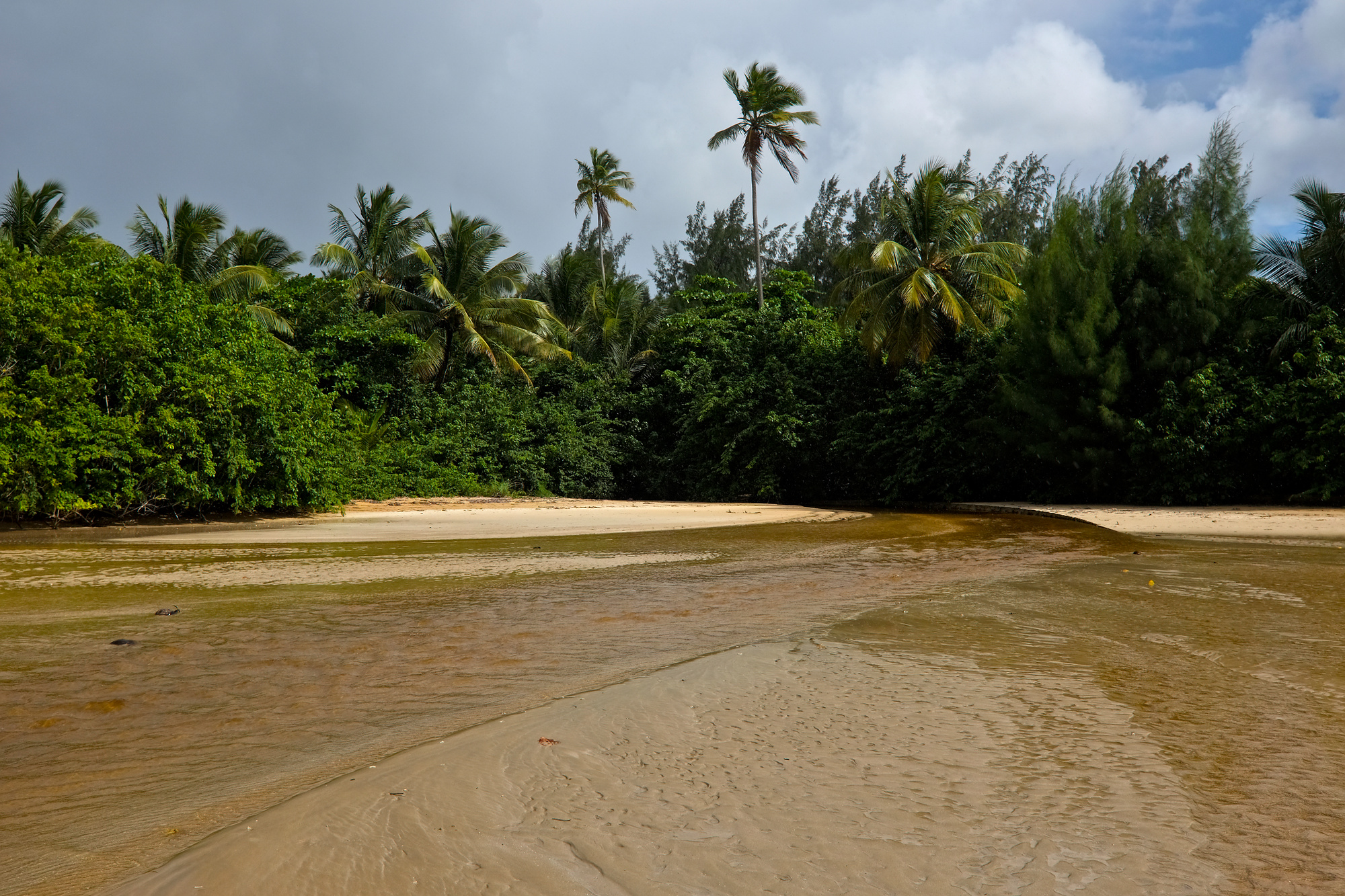 A creek flows into the ocean