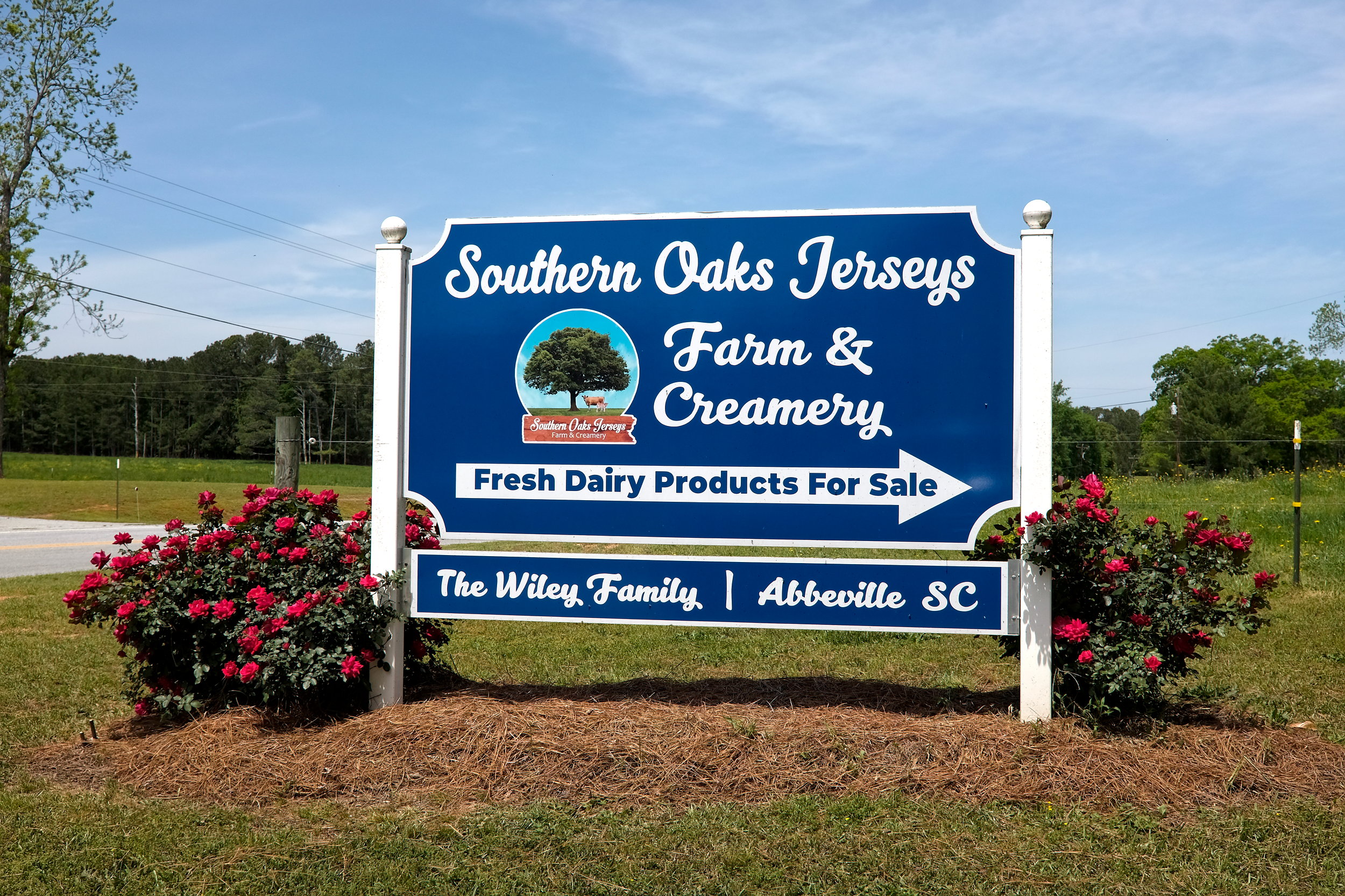 A sign advertising Southern Oaks Jerseys, Farm & Creamery