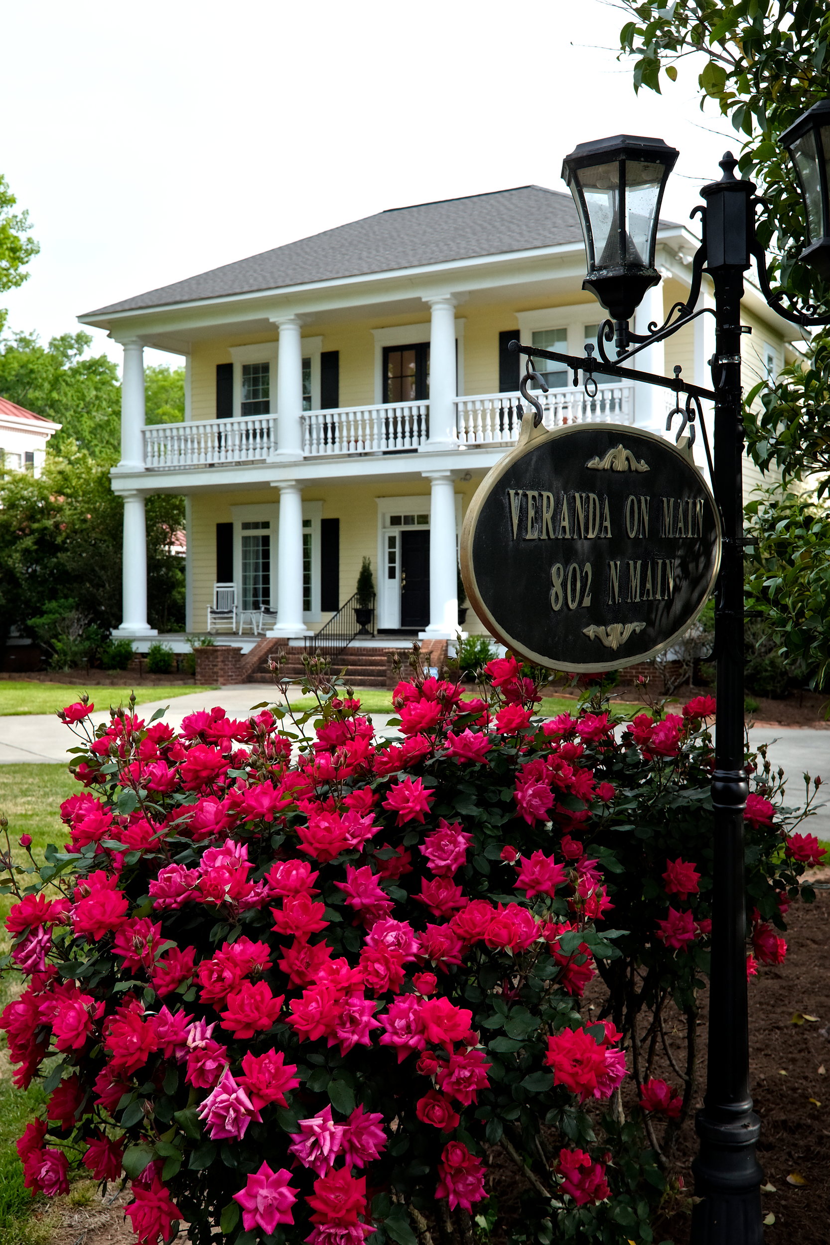 The Veranda on Main is seen behind a rosebush